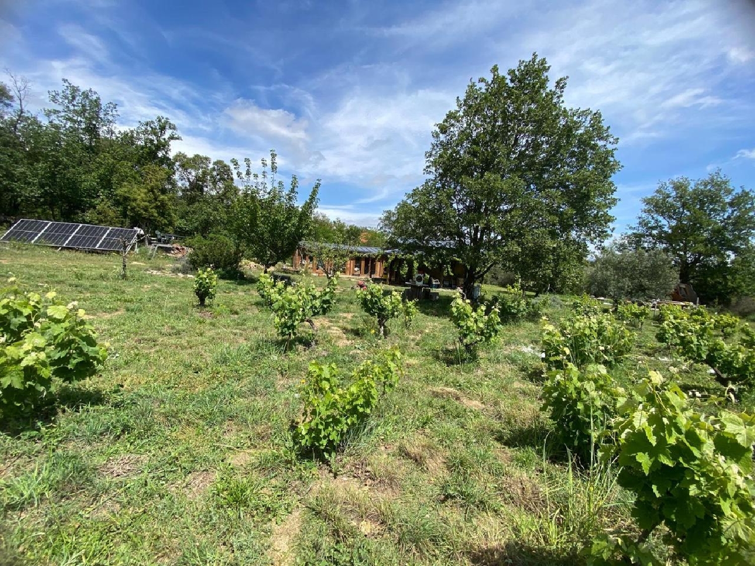  à vendre terrain Capmany Alt Empordà 19