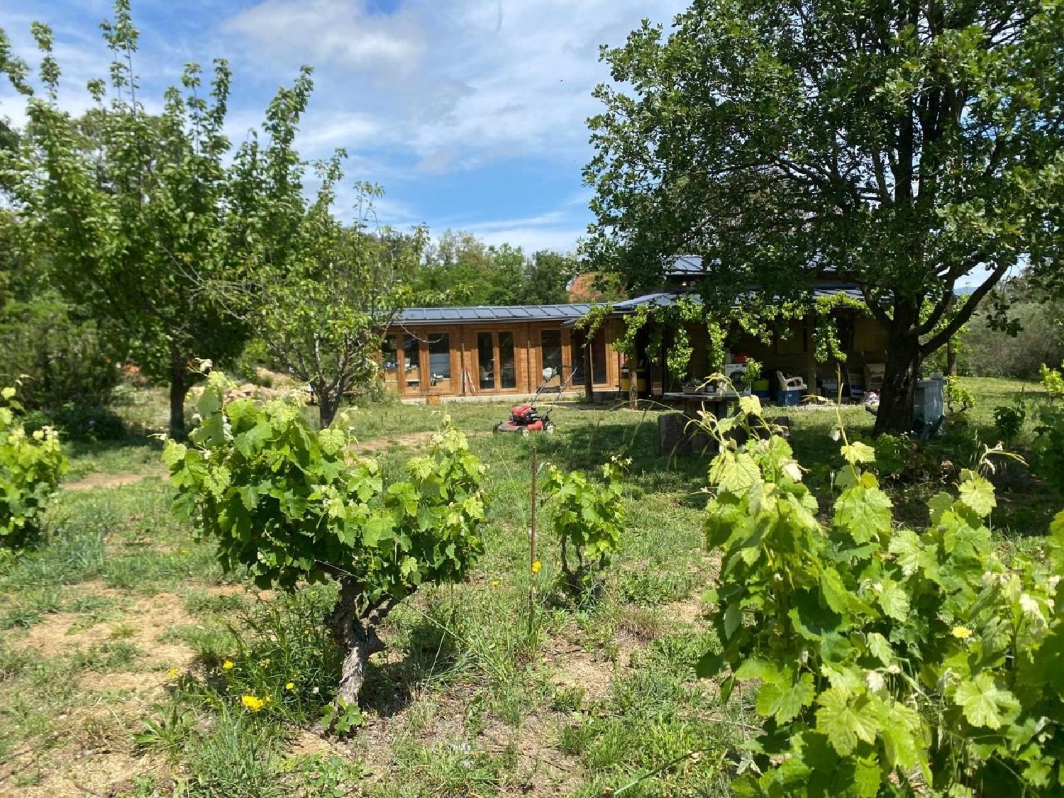  à vendre terrain Capmany Alt Empordà 17