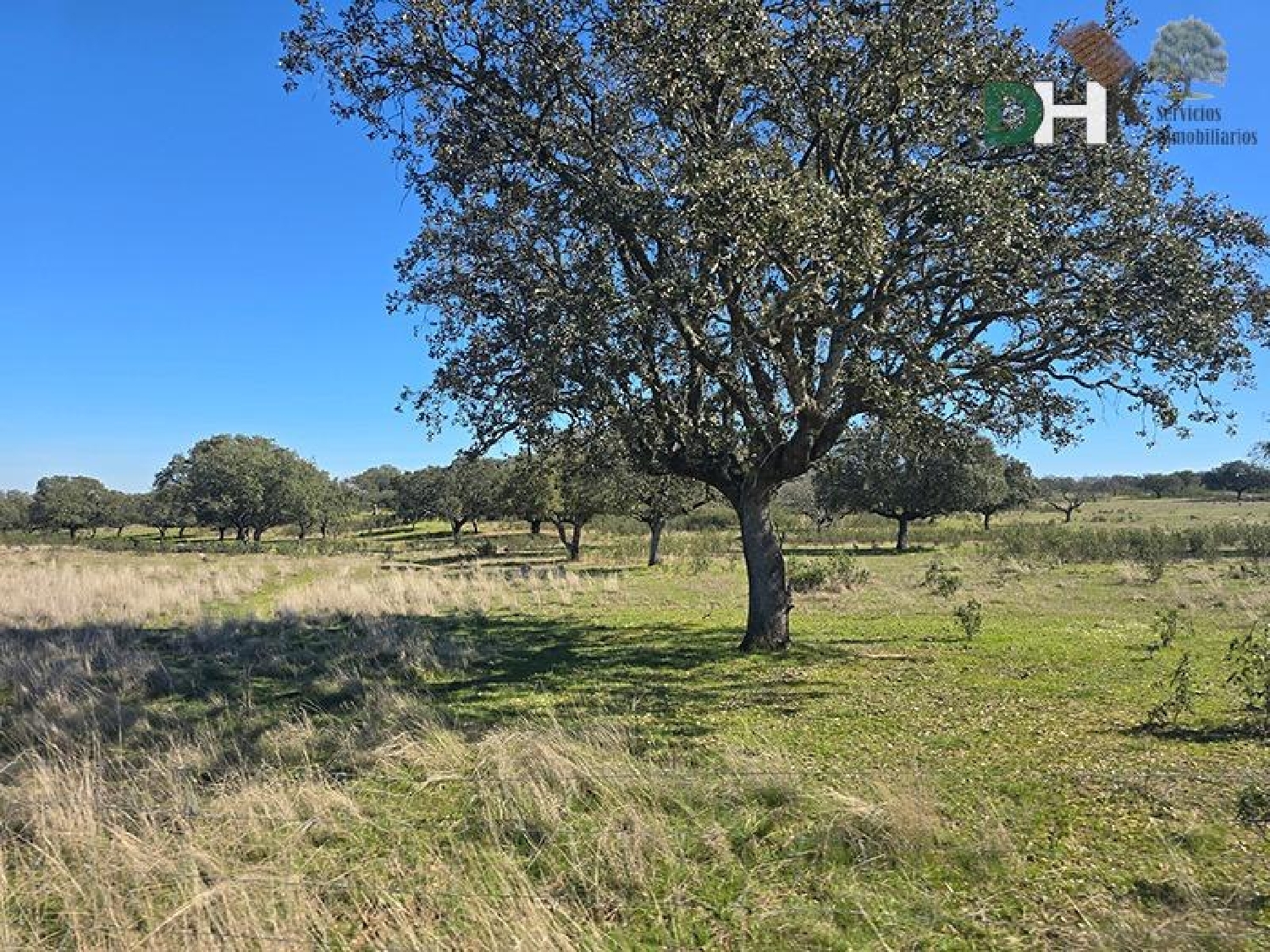  for sale plot Casar De Cáceres Tajo-Salor 5