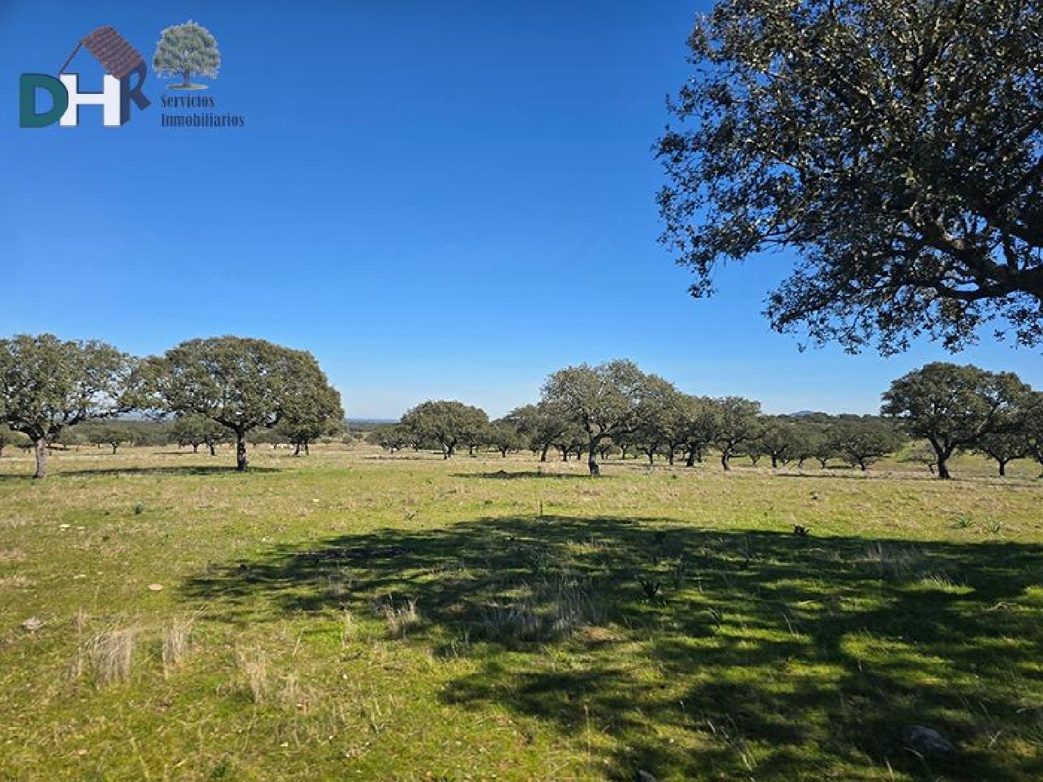  for sale plot Casar De Cáceres Tajo-Salor 4