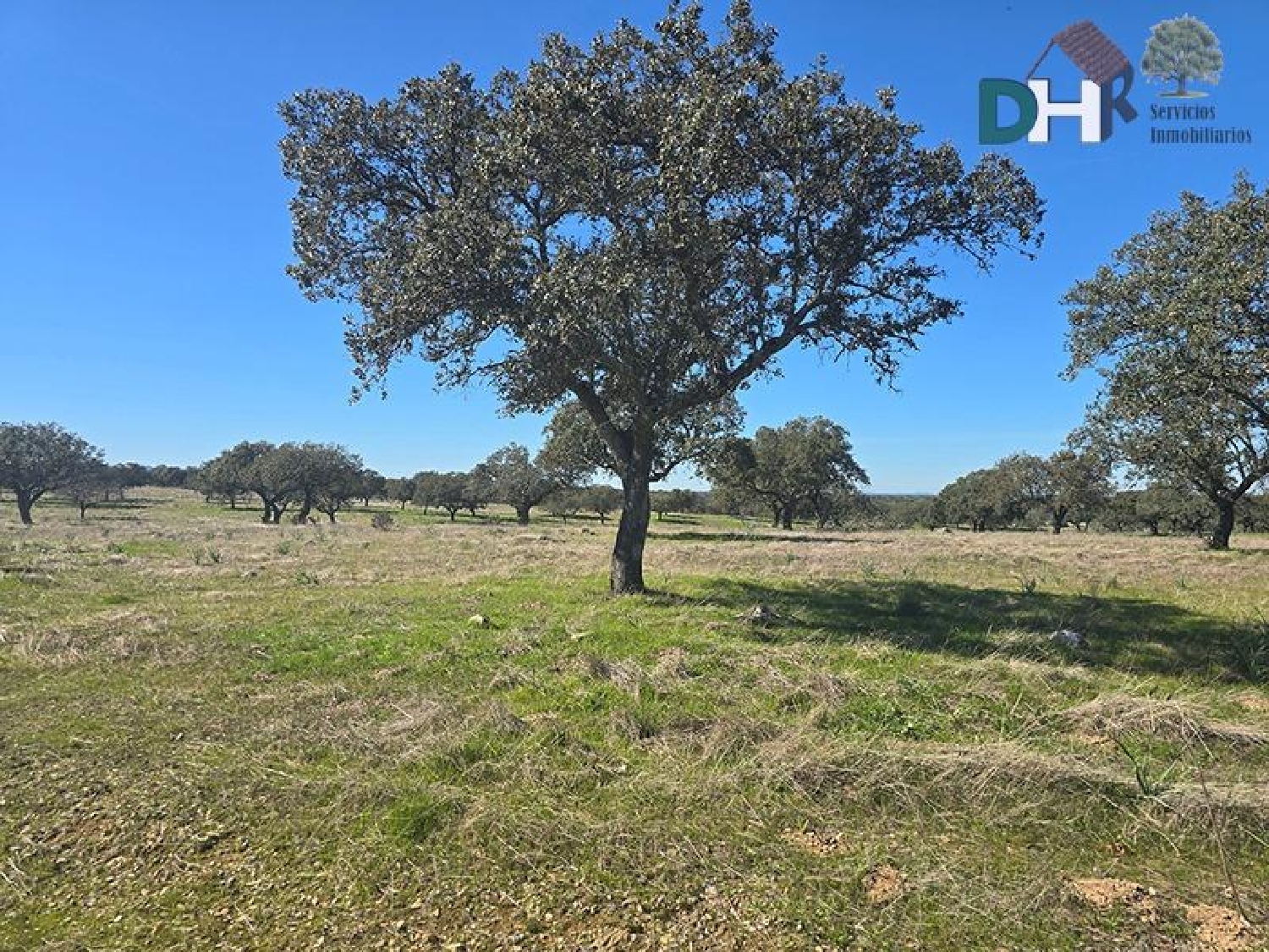  for sale plot Casar De Cáceres Tajo-Salor 2