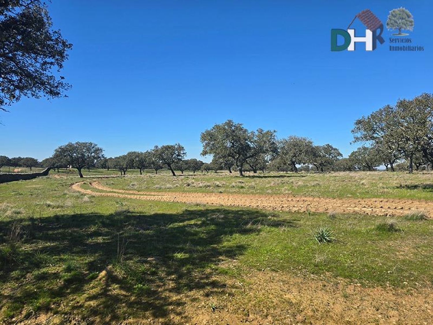  for sale plot Casar De Cáceres Tajo-Salor 3