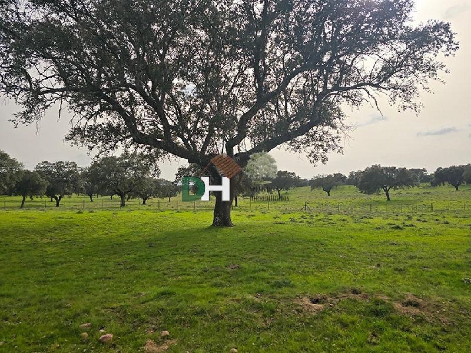  till salu tomt Casar De Cáceres Tajo-Salor 4