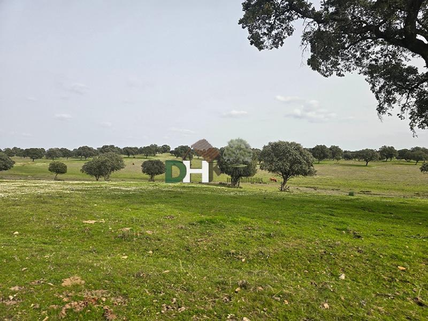  till salu tomt Casar De Cáceres Tajo-Salor 3