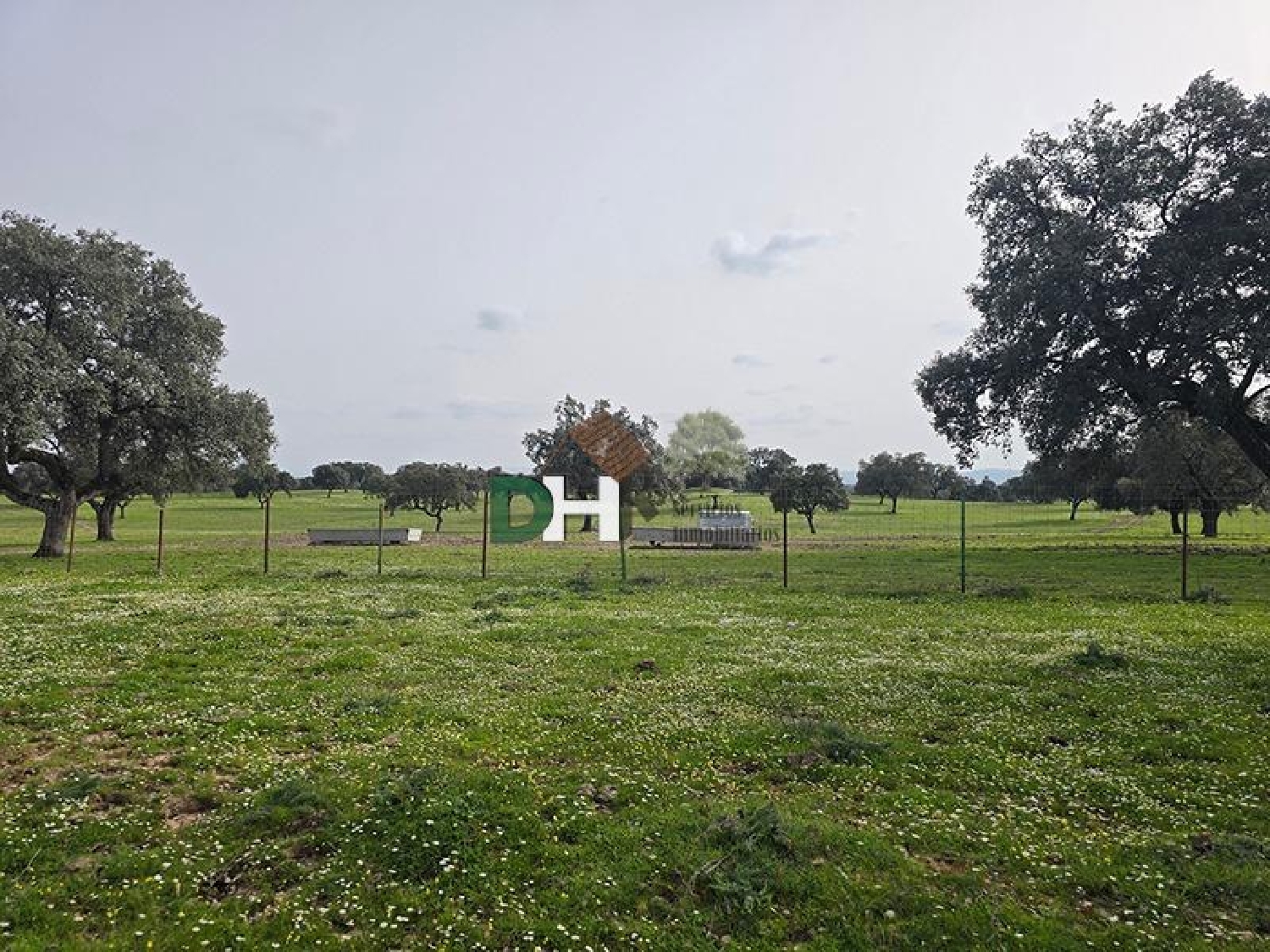  till salu tomt Casar De Cáceres Tajo-Salor 6