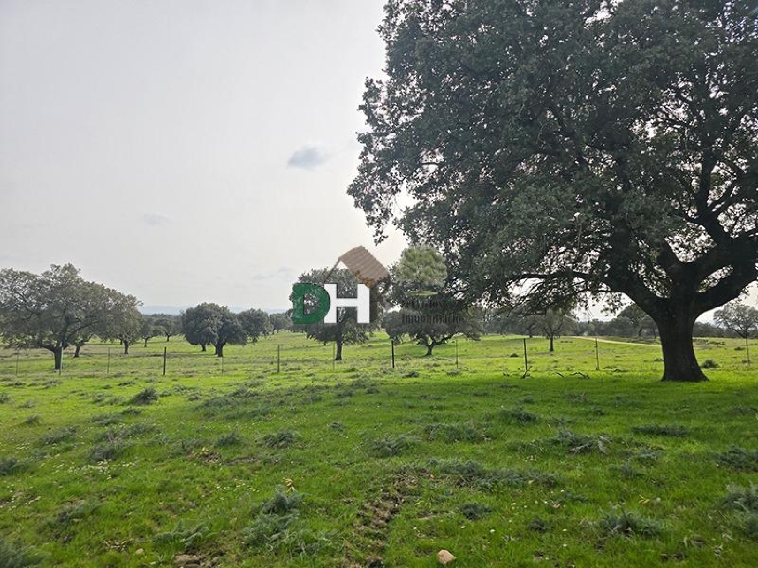  till salu tomt Casar De Cáceres Tajo-Salor 7