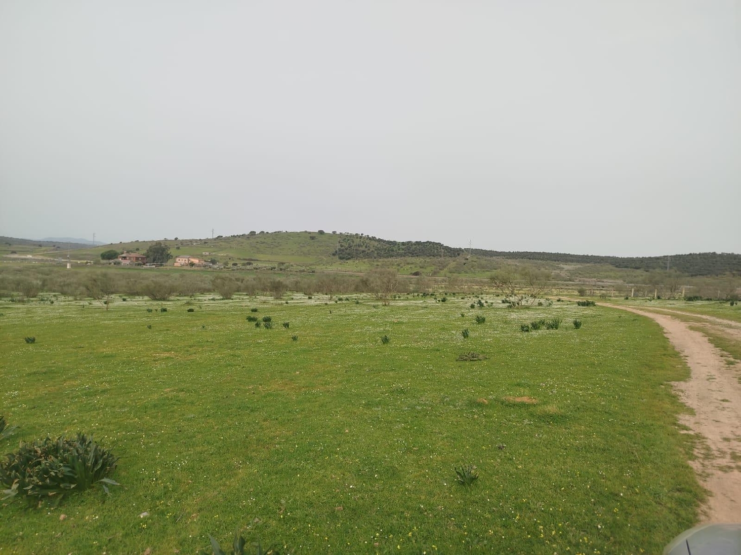  till salu tomt Casar De Cáceres Tajo-Salor 7