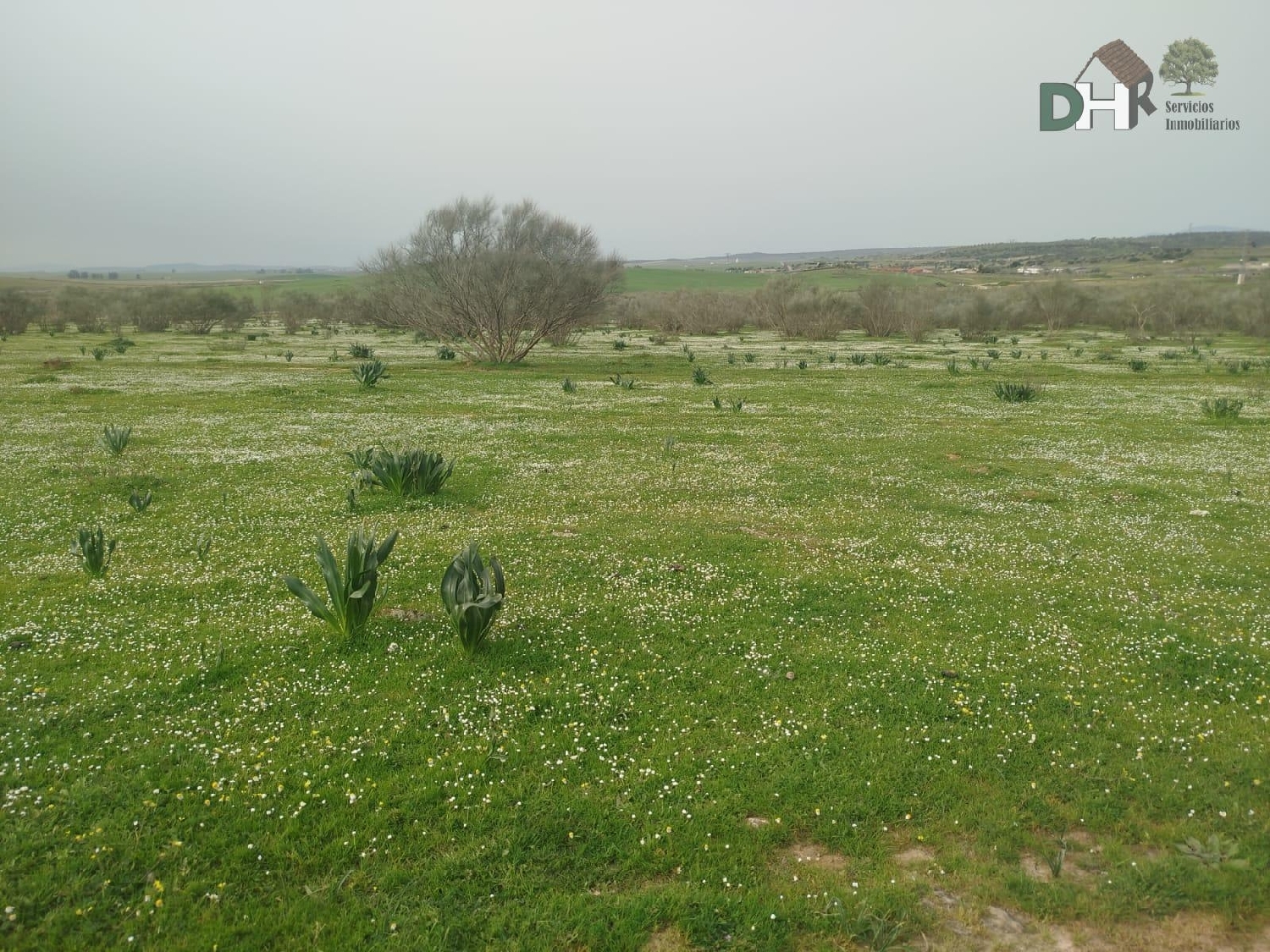  till salu tomt Casar De Cáceres Tajo-Salor 1