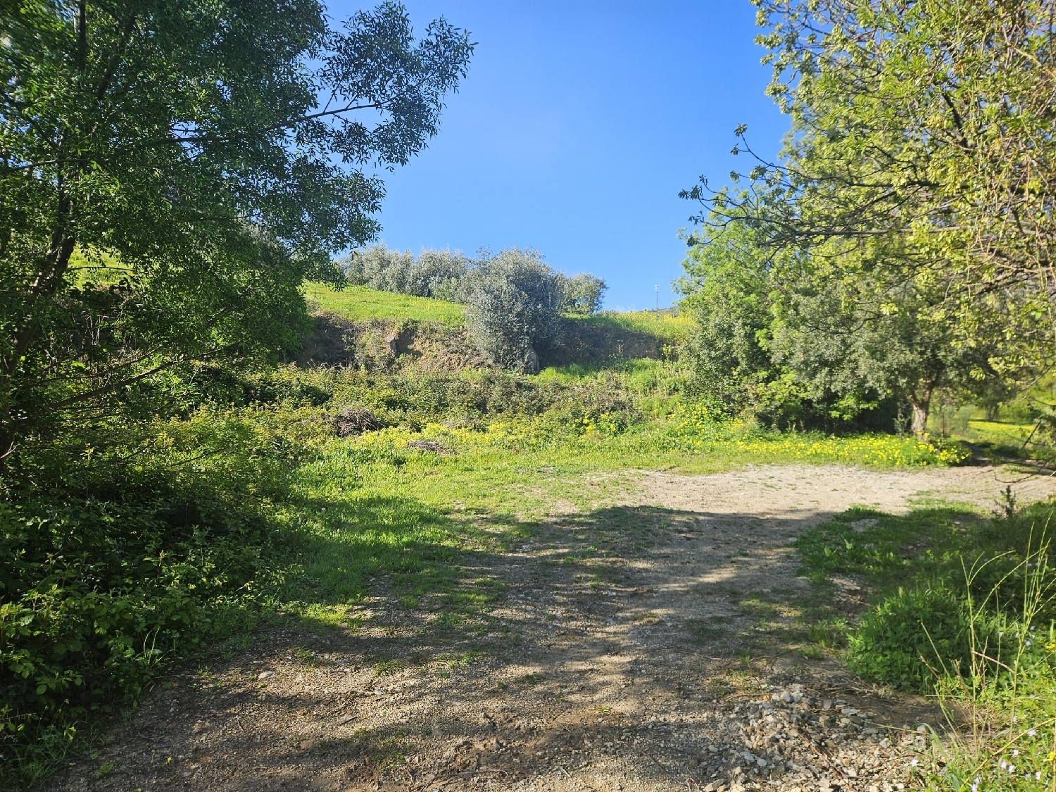  for sale plot Casarabonela Sierra De Las Nieves 3