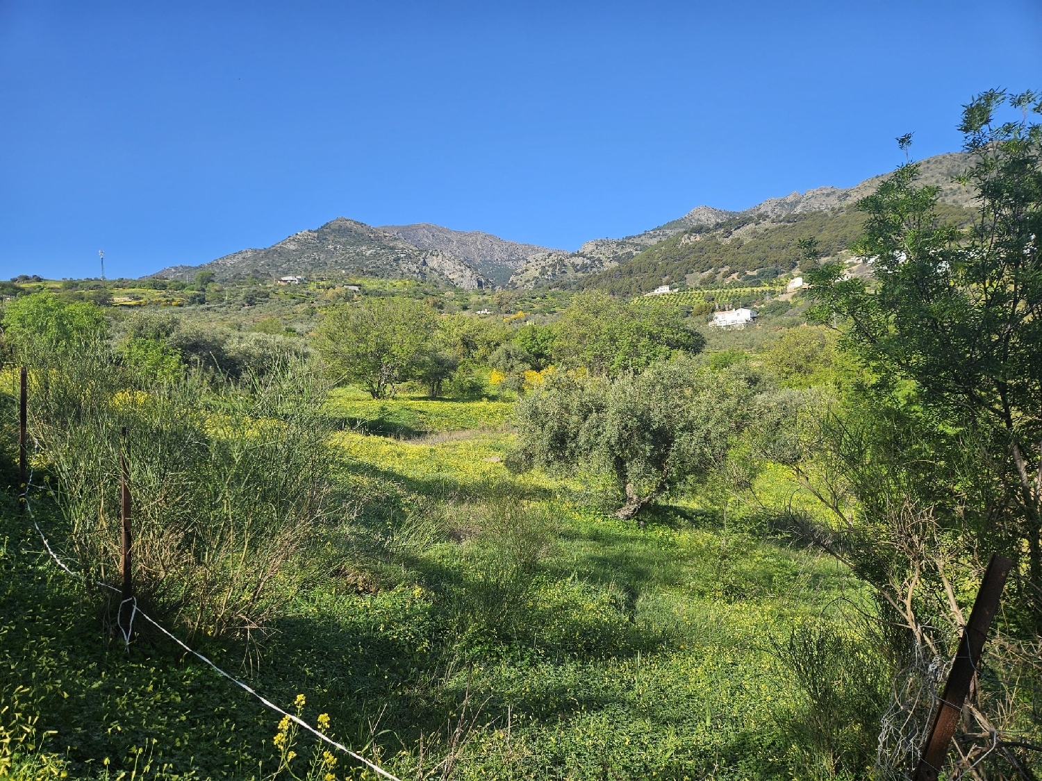  for sale plot Casarabonela Sierra De Las Nieves 5