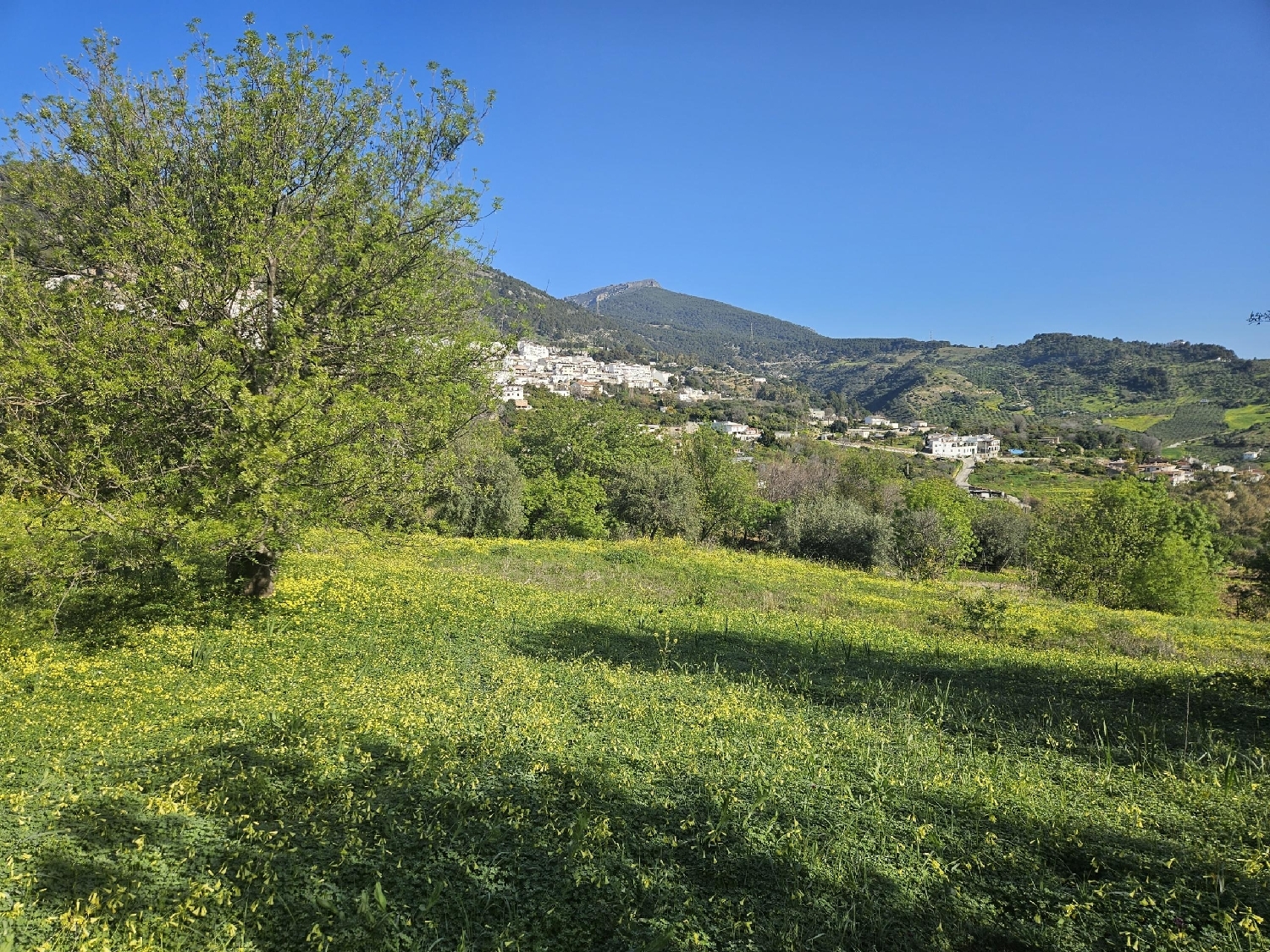  for sale plot Casarabonela Sierra De Las Nieves 8