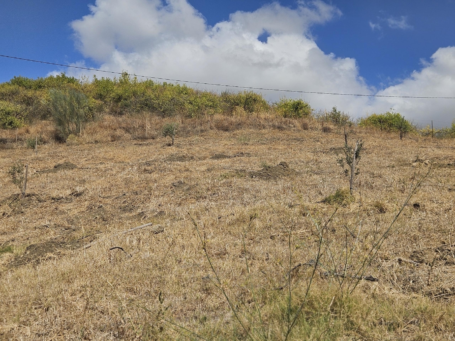  till salu tomt Casarabonela Sierra De Las Nieves 7