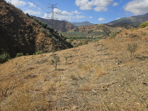 Casarabonela Sierra De Las Nieves tomt foto 6365433