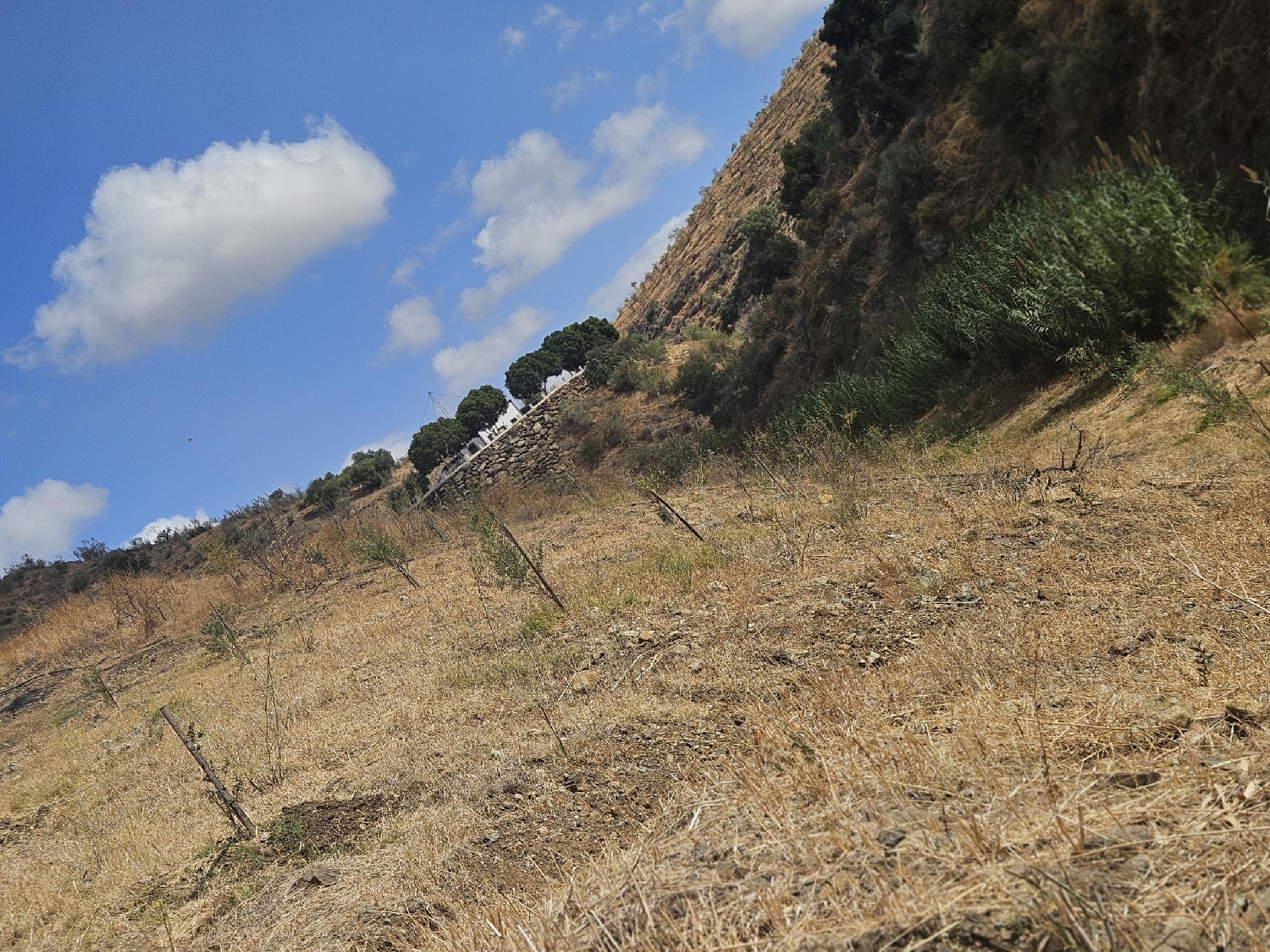  till salu tomt Casarabonela Sierra De Las Nieves 8