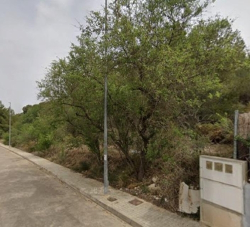 Casinos Camp De Túria terreno foto 6353958