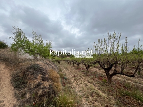 Castillo De La Albaida Córdoba tomt foto 6364373