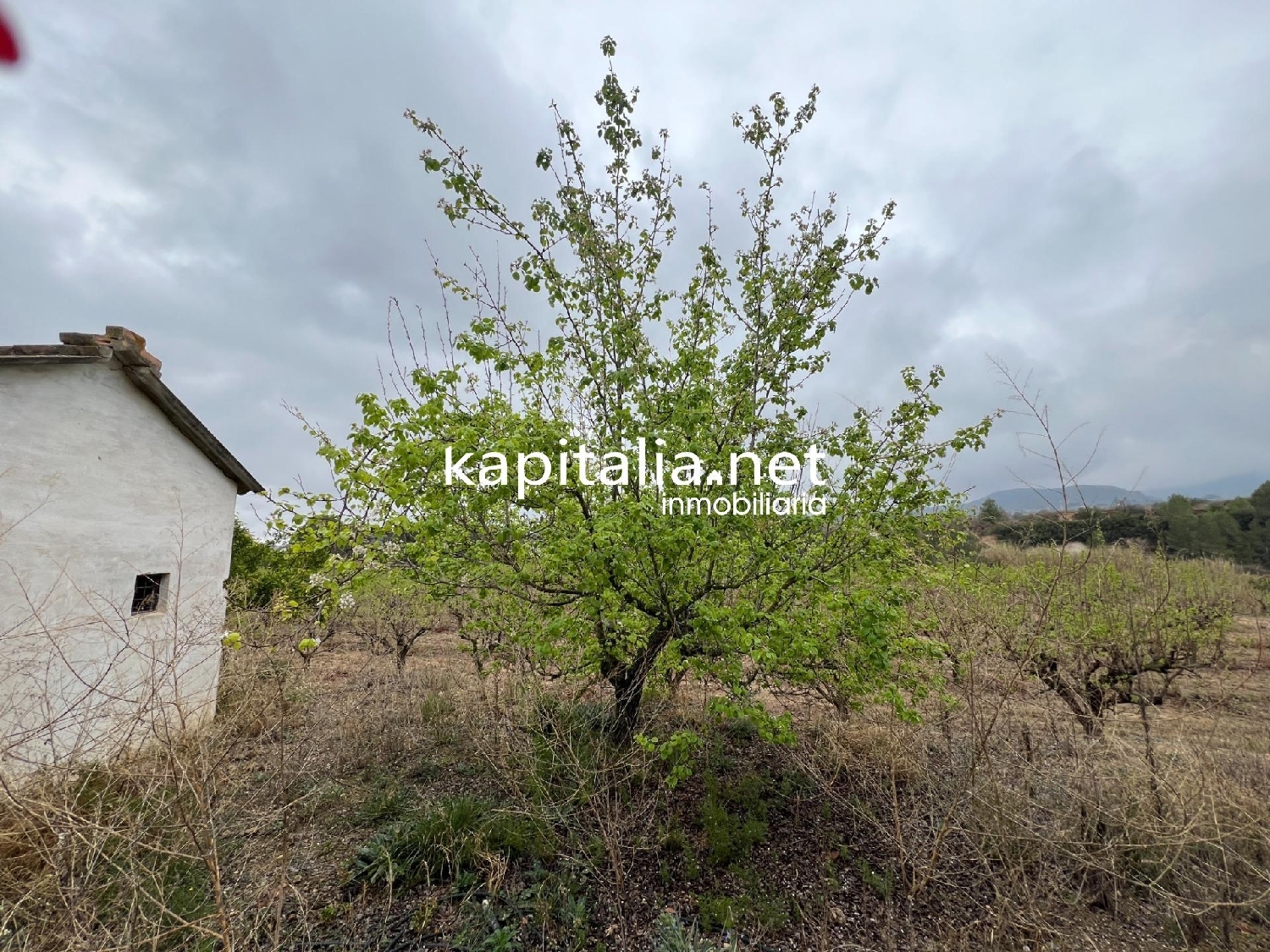 till salu tomt Castillo De La Albaida Córdoba 3