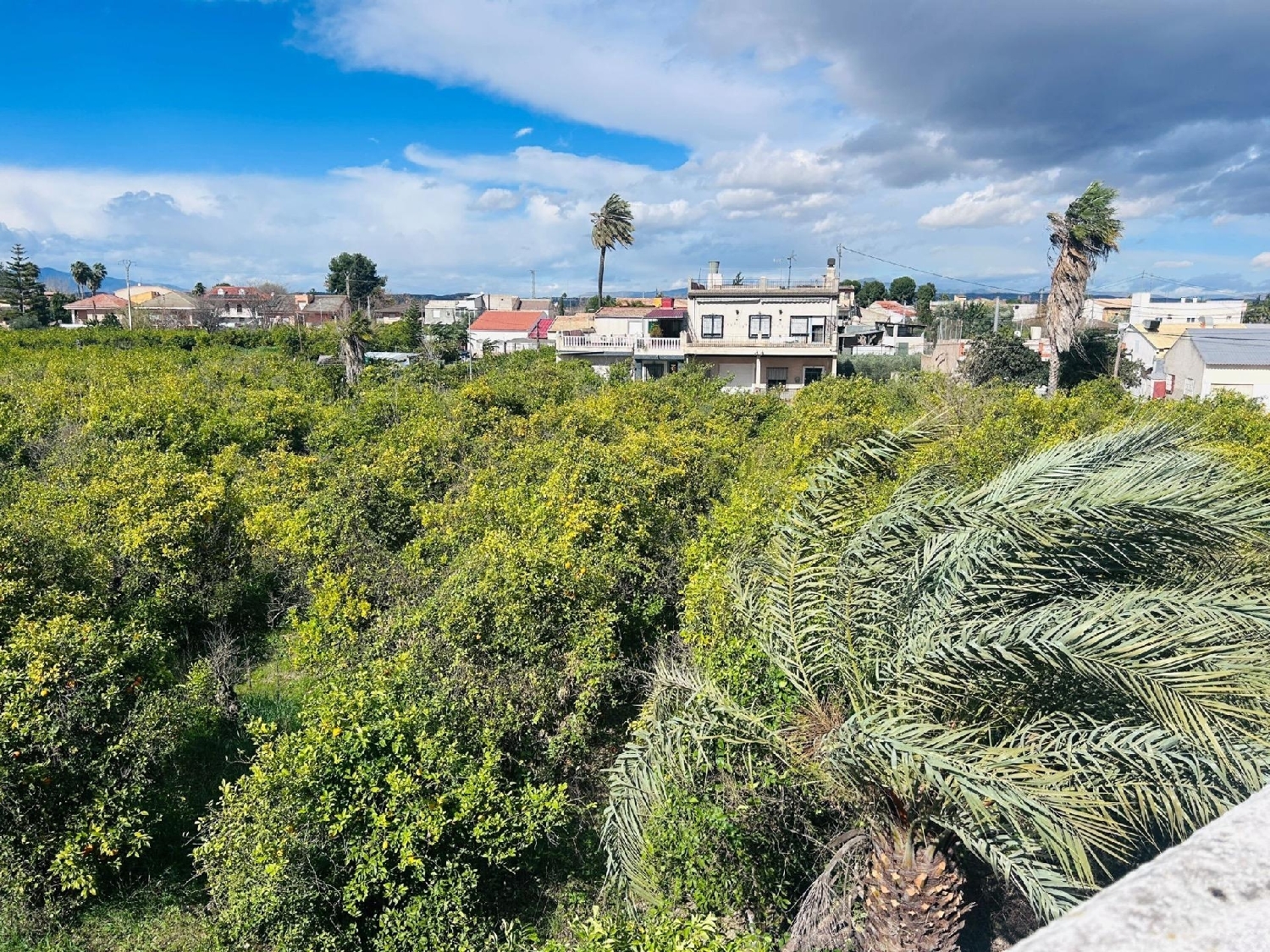  en venta terreno Castrillo De Murcia Odra-Pisuerga 3