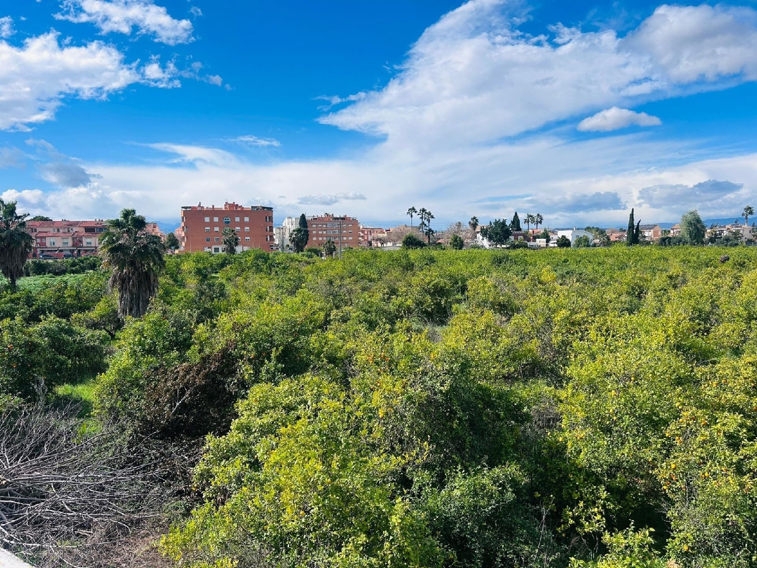  en venta terreno Castrillo De Murcia Odra-Pisuerga 4