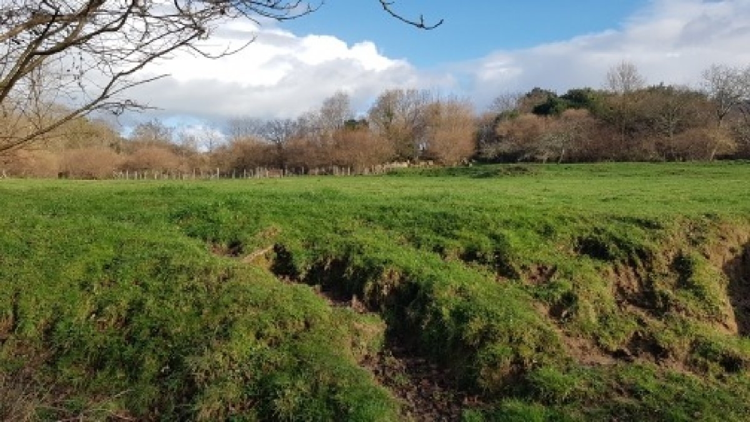 kaufen Grundstück Castro Urdiales Costa Oriental 5