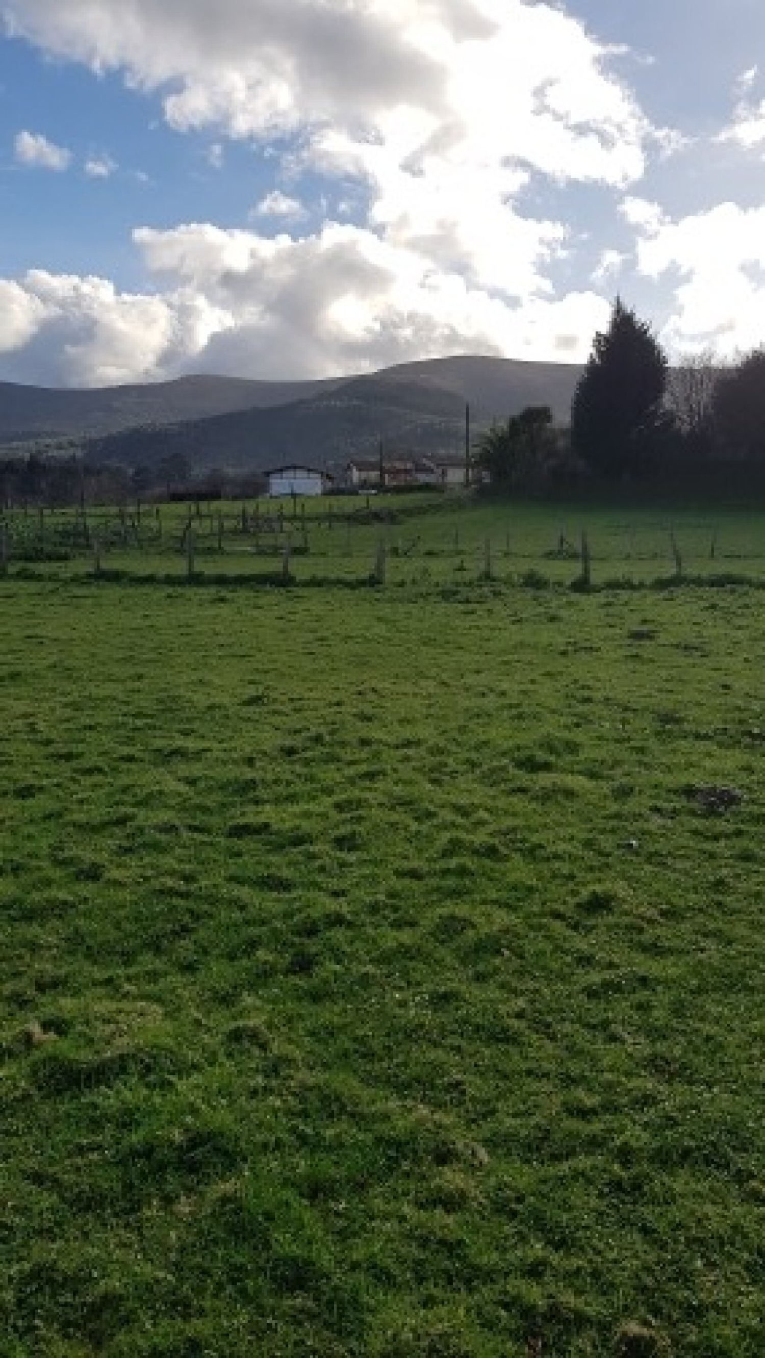 kaufen Grundstück Castro Urdiales Costa Oriental 8