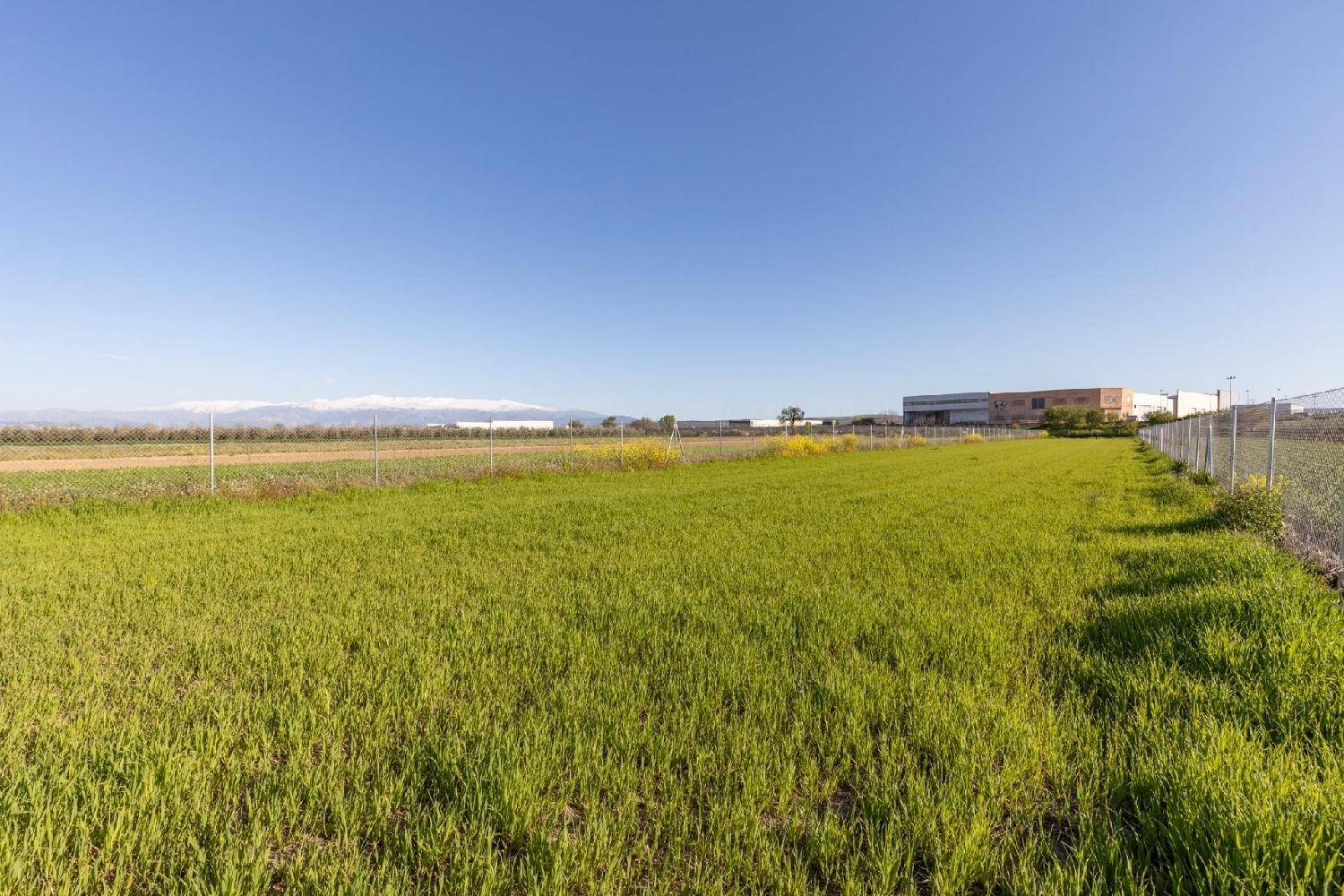  for sale plot Chauchina Vega De Granada 7