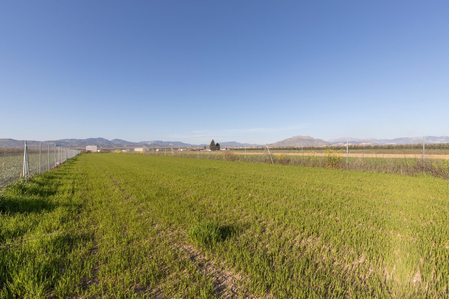 for sale plot Chauchina Vega De Granada 8