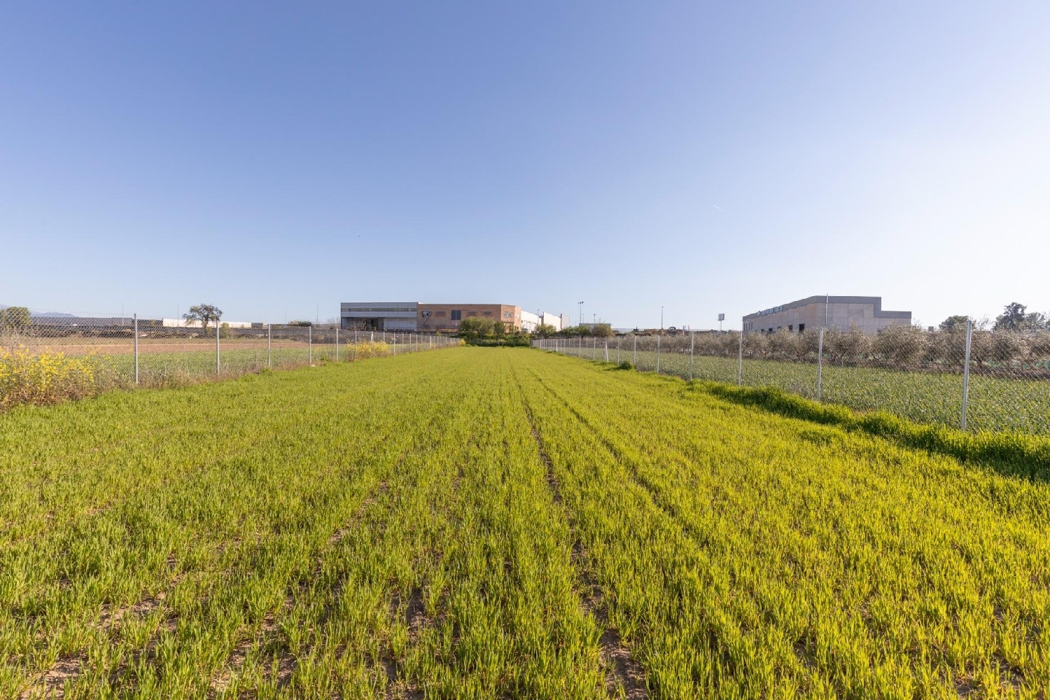  for sale plot Chauchina Vega De Granada 6