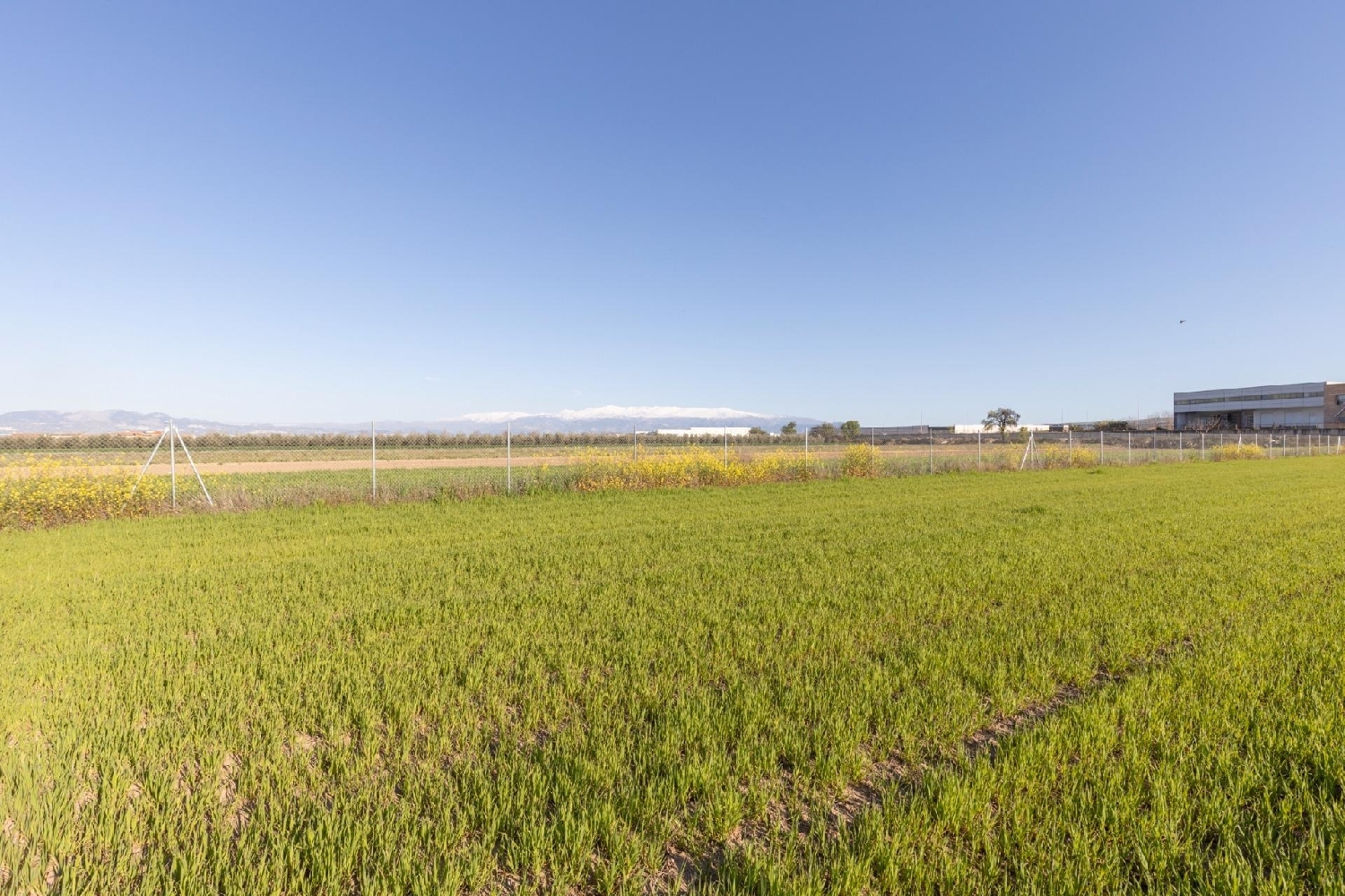  for sale plot Chauchina Vega De Granada 1