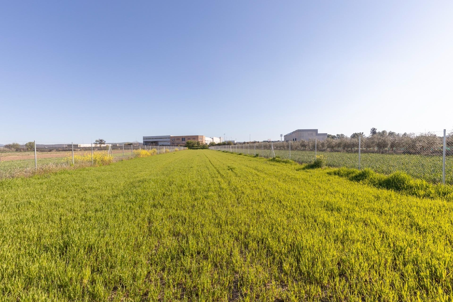  for sale plot Chauchina Vega De Granada 5
