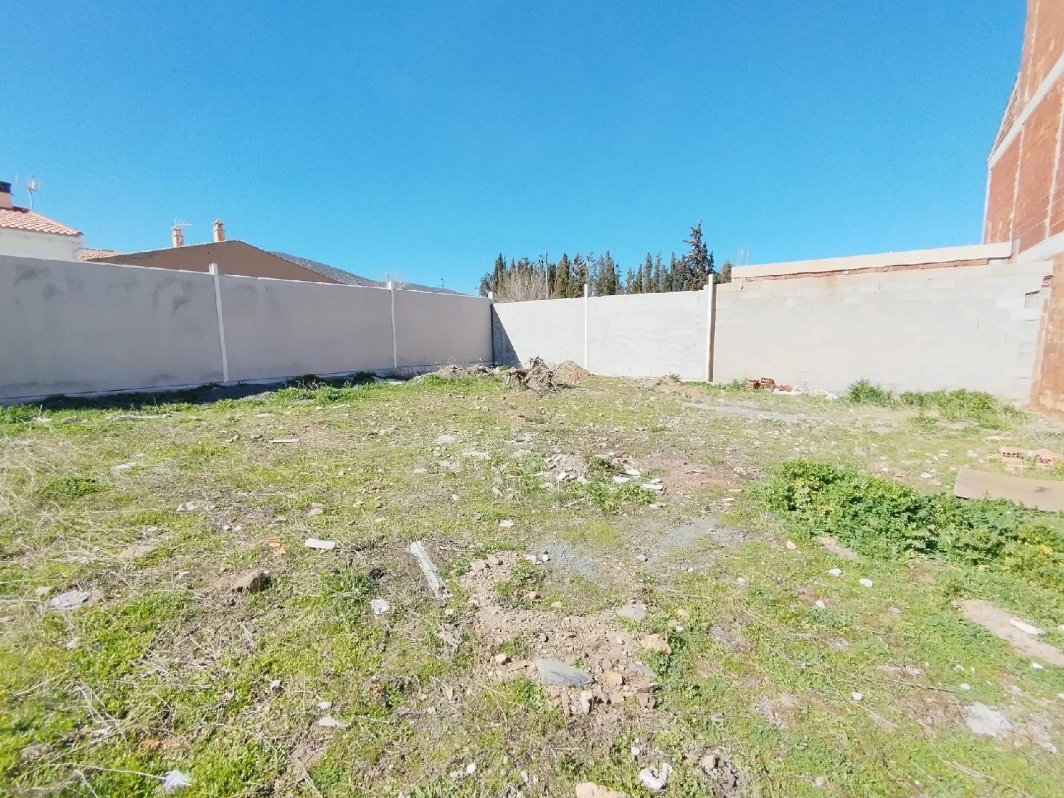  kaufen Grundstück Cogollos De Guadix Accitania 5