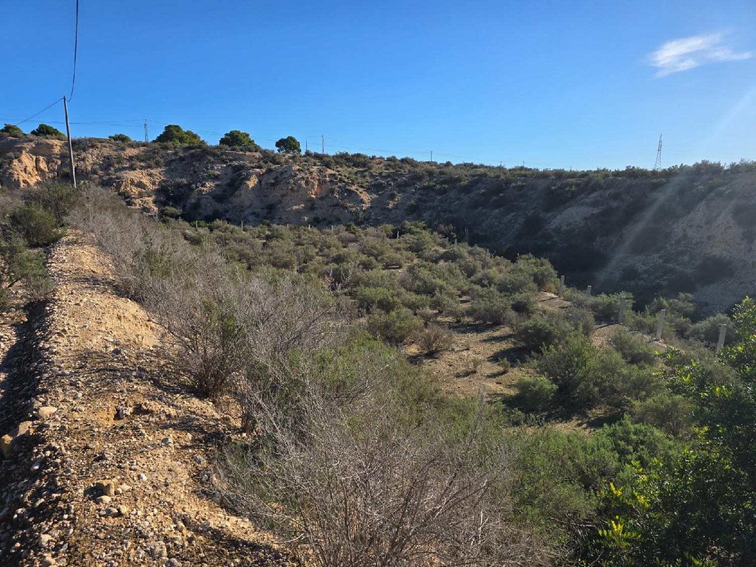  for sale plot Crevillent Baix Vinalopó 7