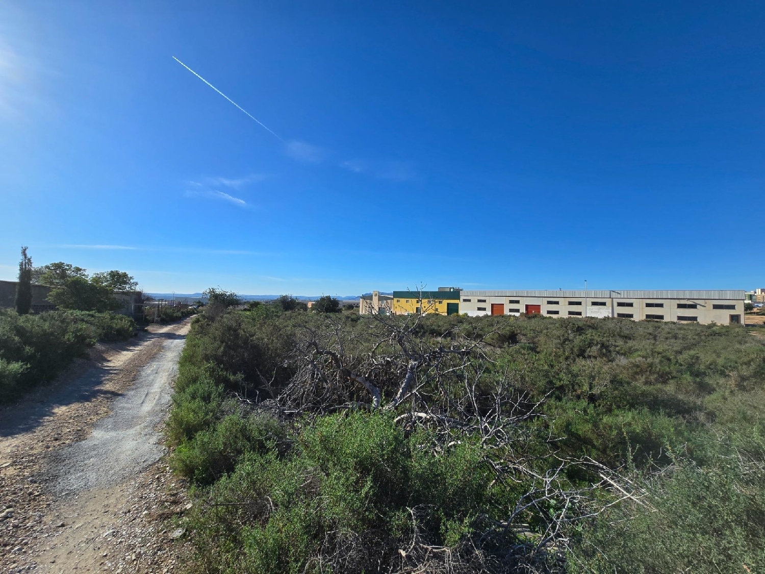  for sale plot Crevillent Baix Vinalopó 5