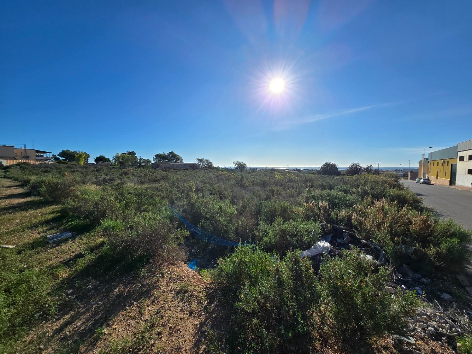  for sale plot Crevillent Baix Vinalopó 1