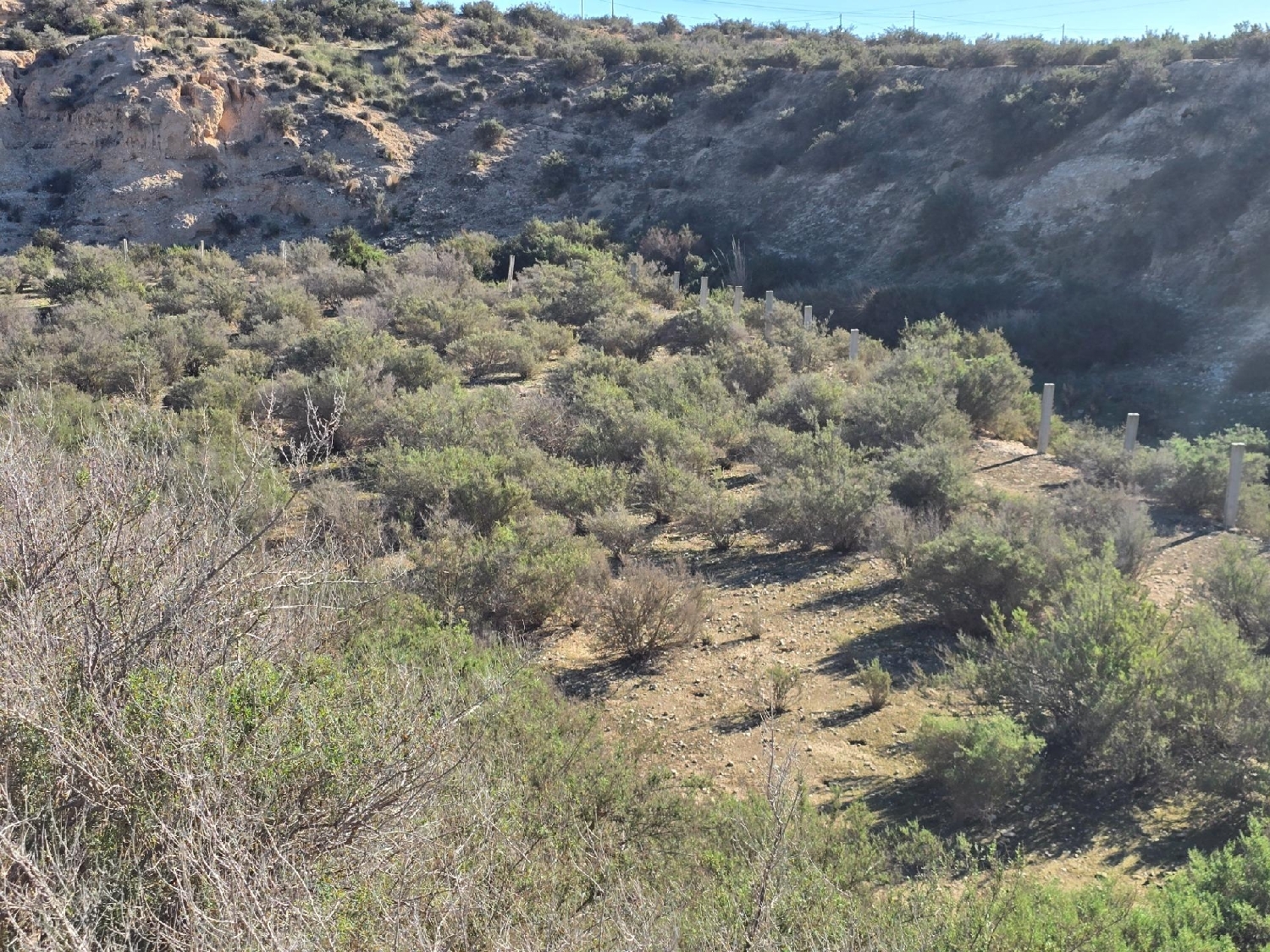  for sale plot Crevillent Baix Vinalopó 8