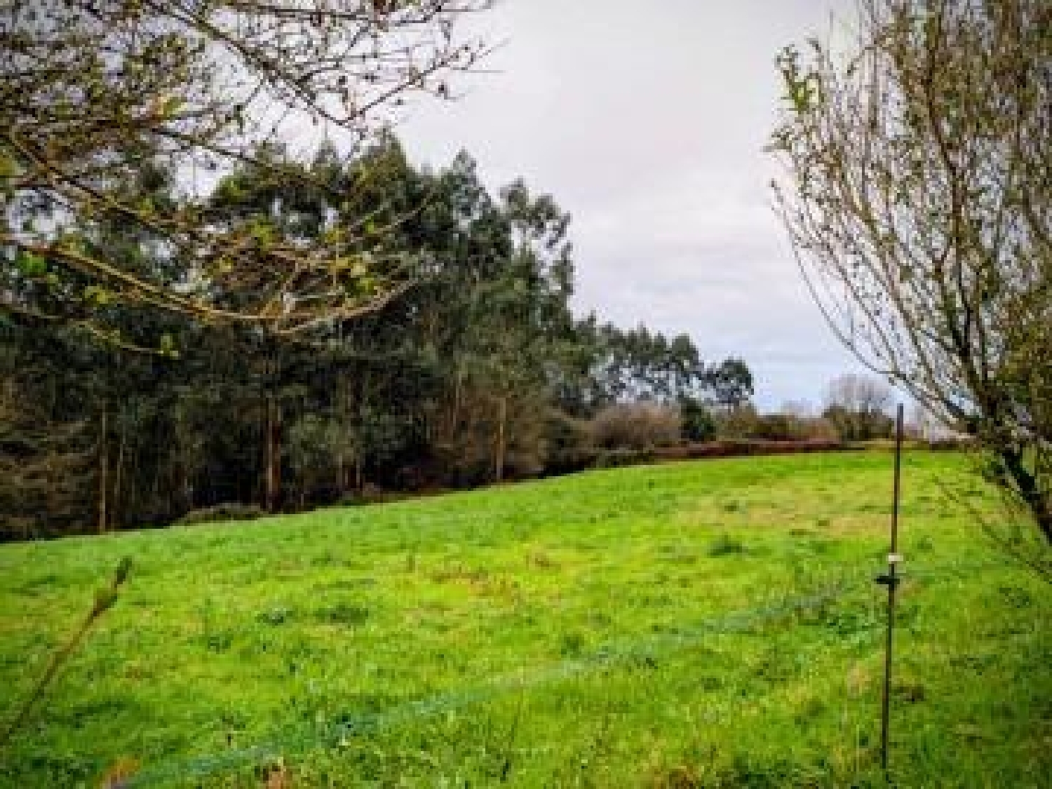 en venta terreno Cudillero Avilés 4