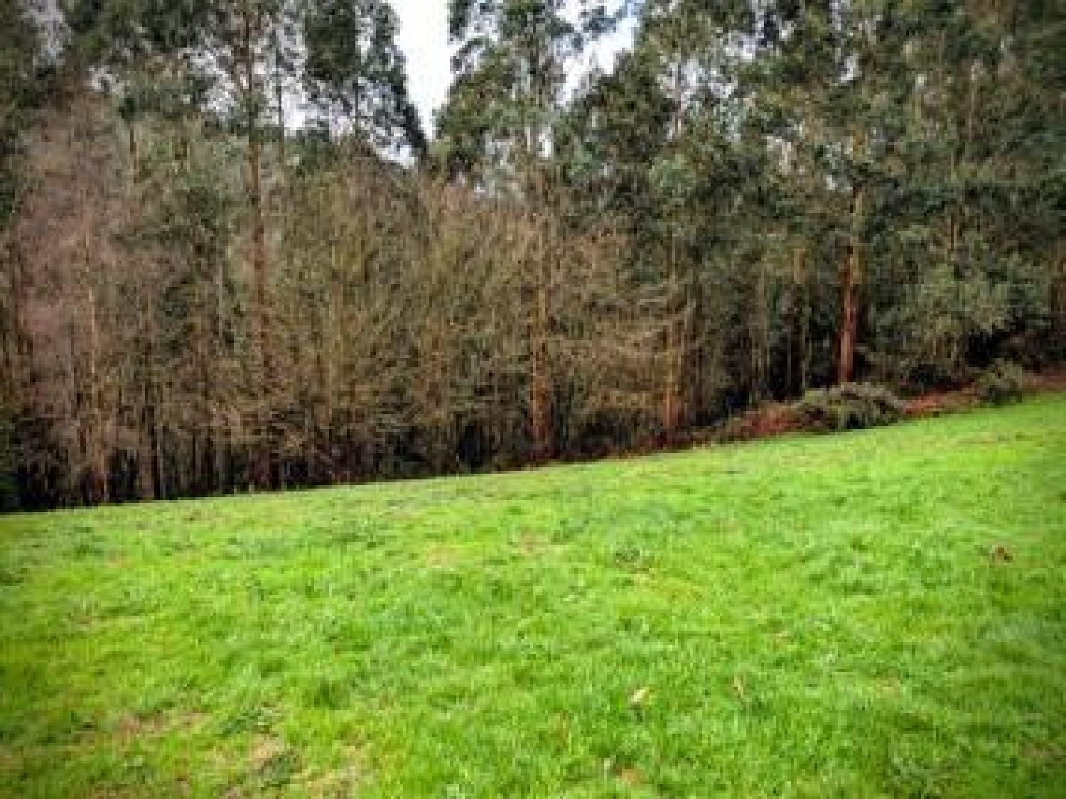 en venta terreno Cudillero Avilés 2