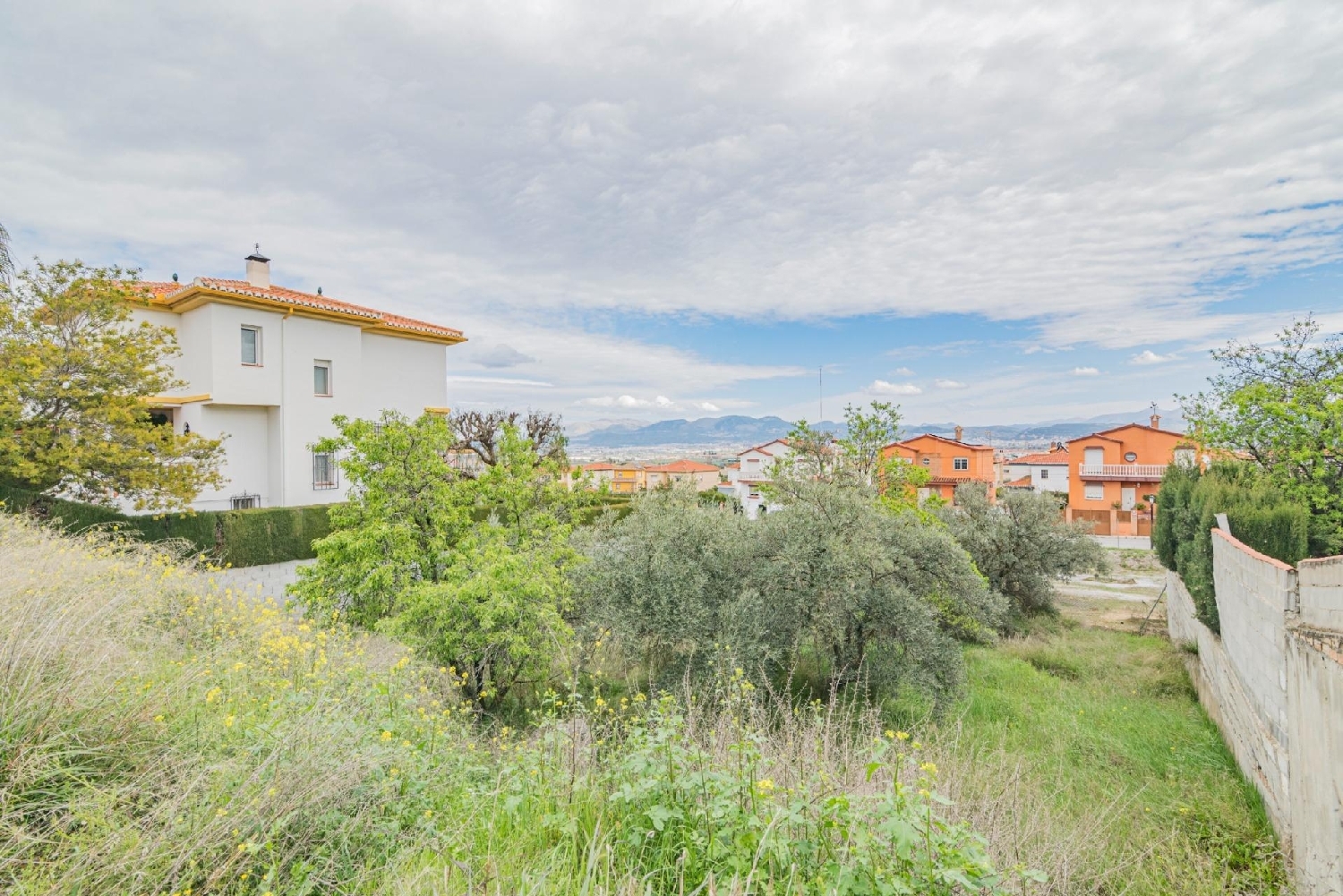  for sale plot Cúllar Vega Vega De Granada 6