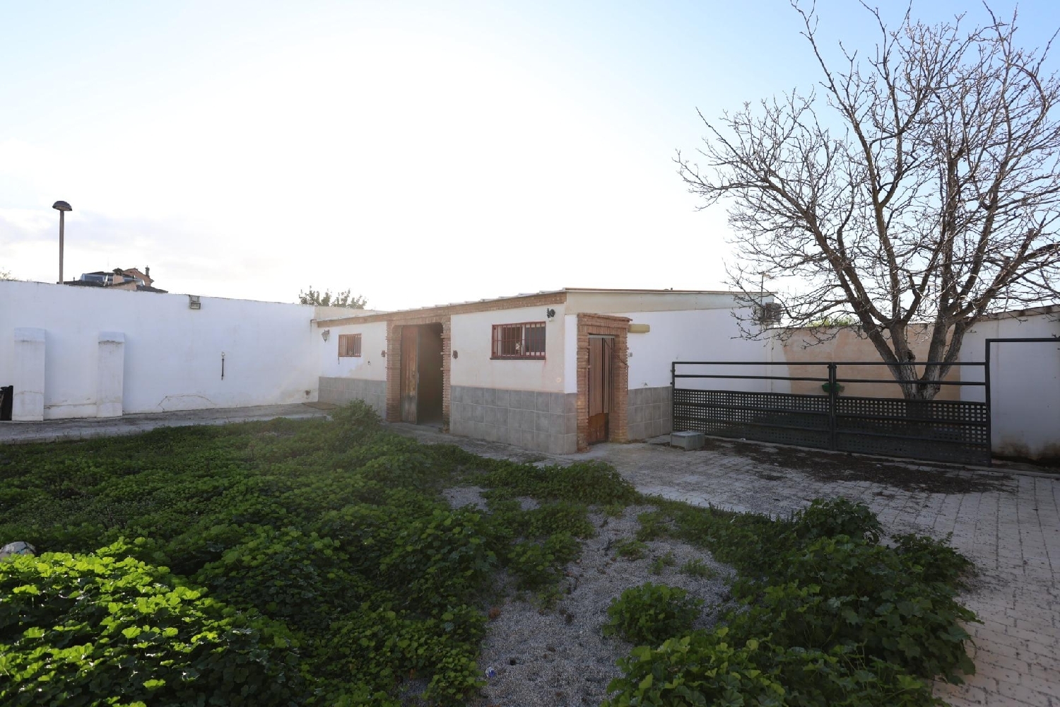  till salu tomt Cúllar Vega Vega De Granada 2