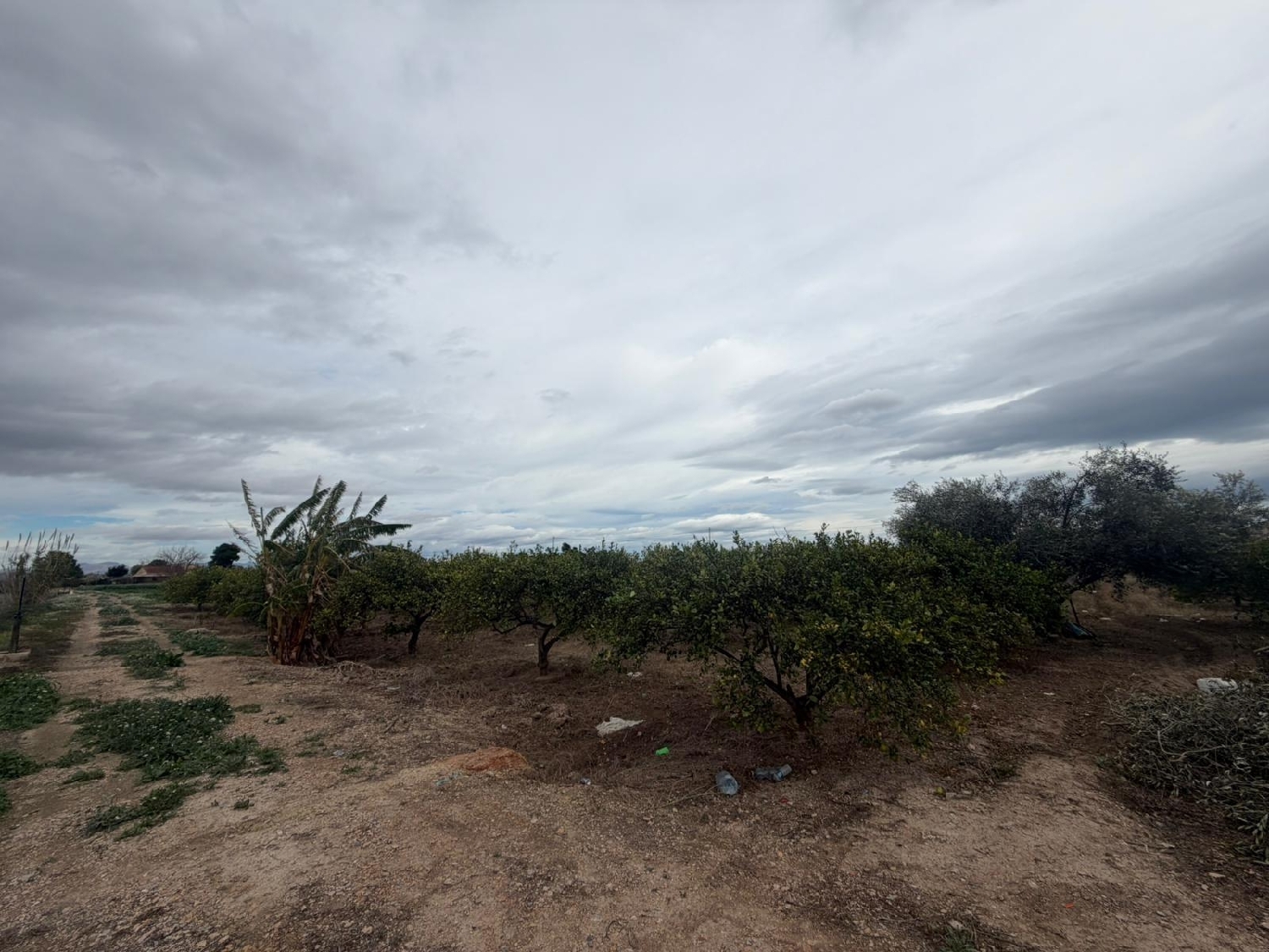  te koop perceel Daya Nueva Baix Segura 5