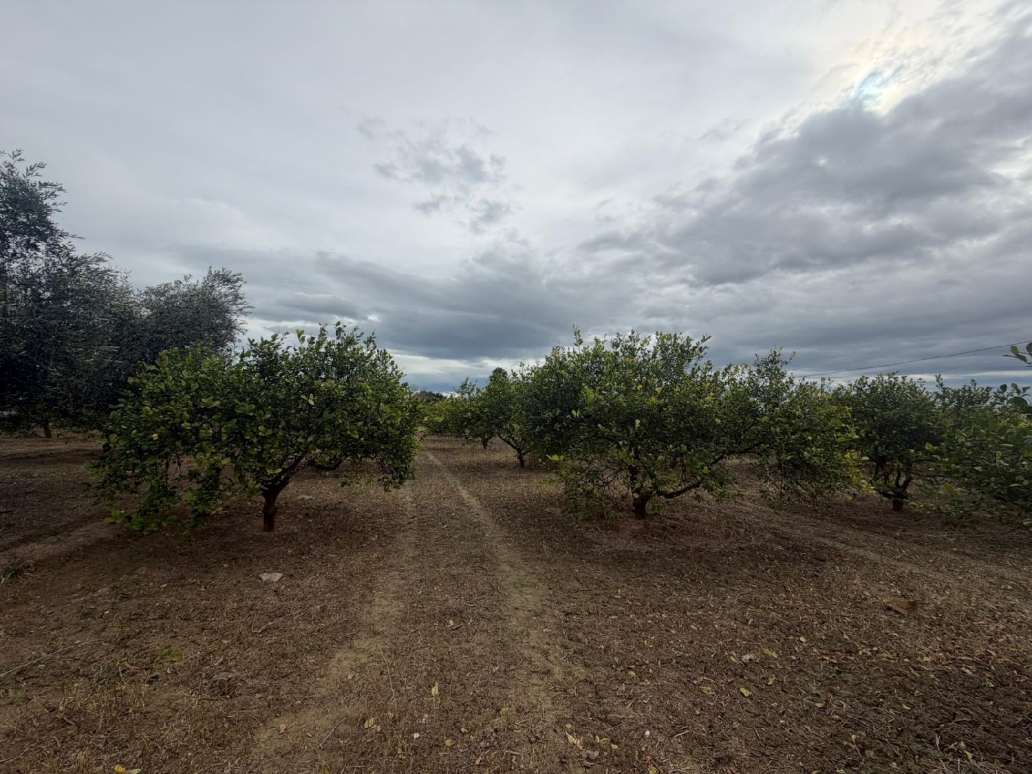  te koop perceel Daya Nueva Baix Segura 3