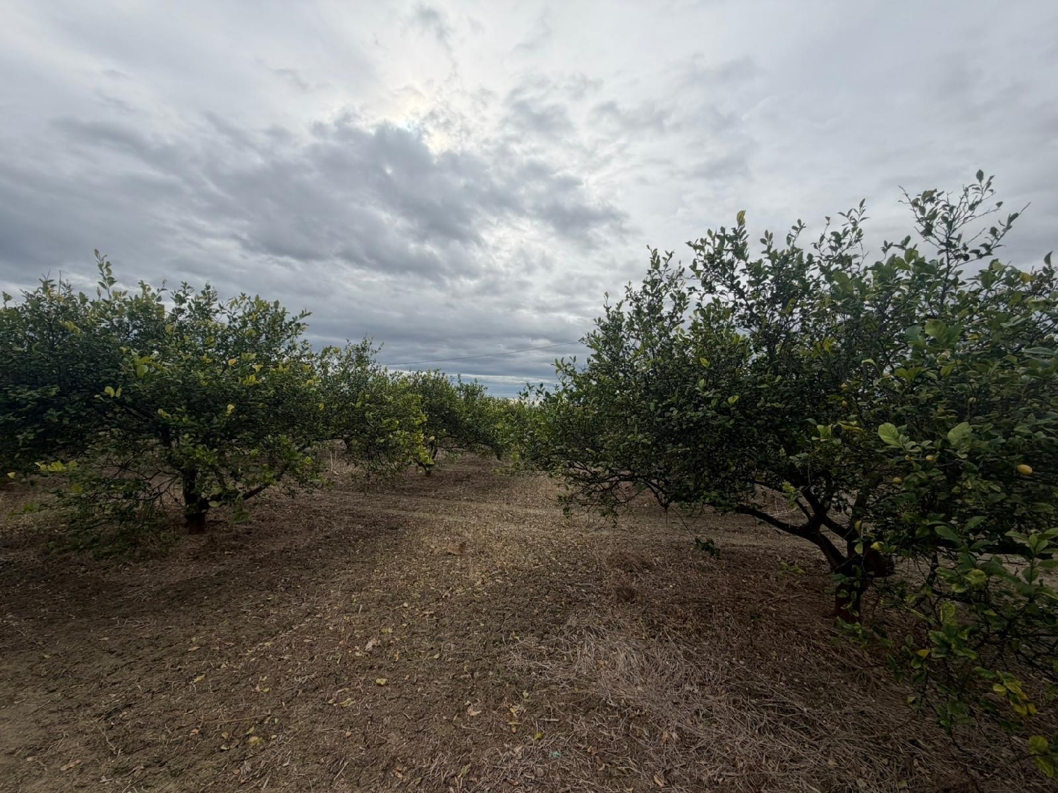  te koop perceel Daya Nueva Baix Segura 6