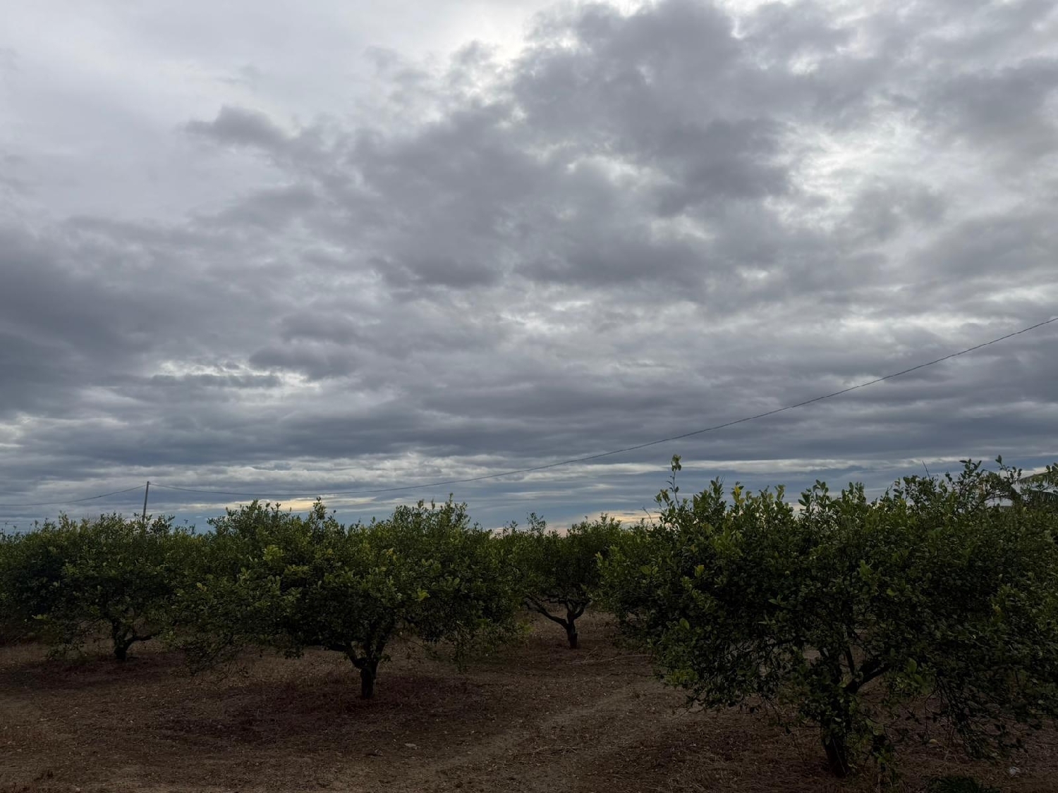  te koop perceel Daya Nueva Baix Segura 4