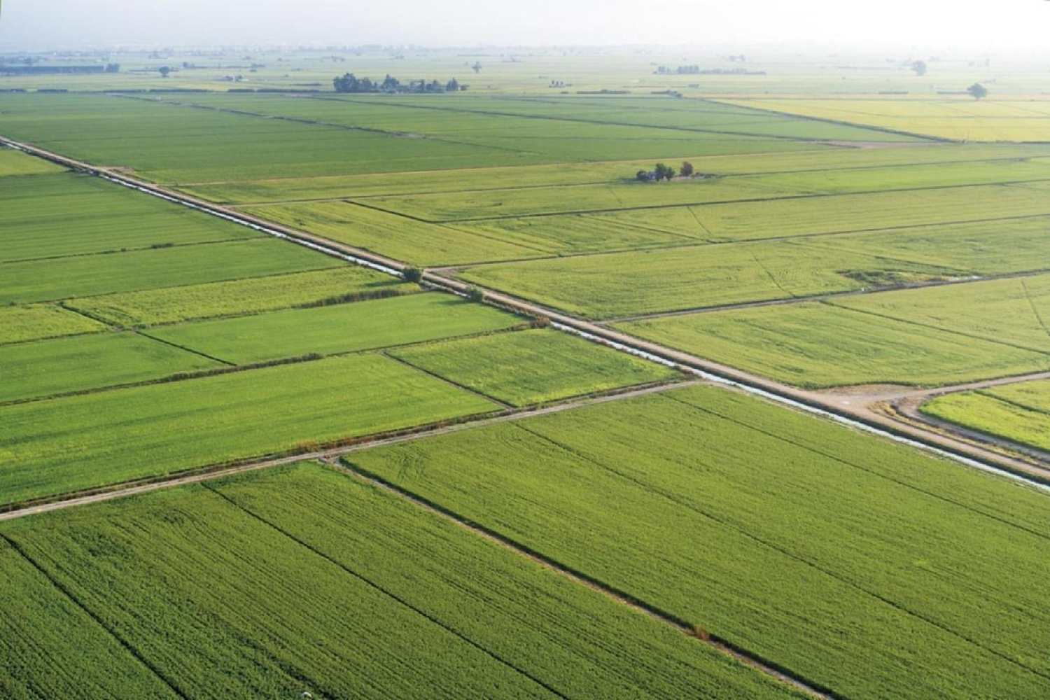  till salu tomt Deltebre Baix Ebre 1