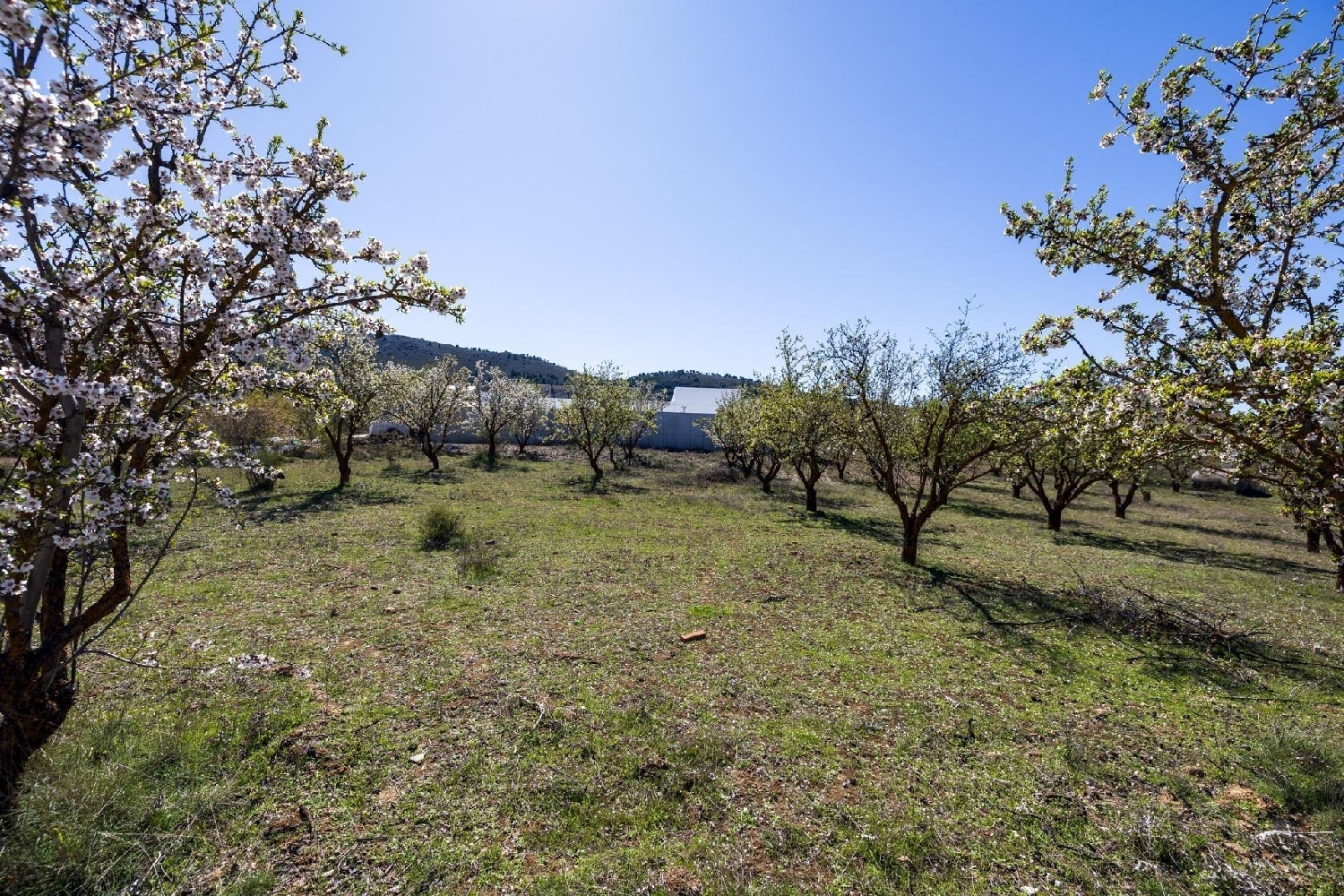  kaufen Grundstück Dílar Vega De Granada 7