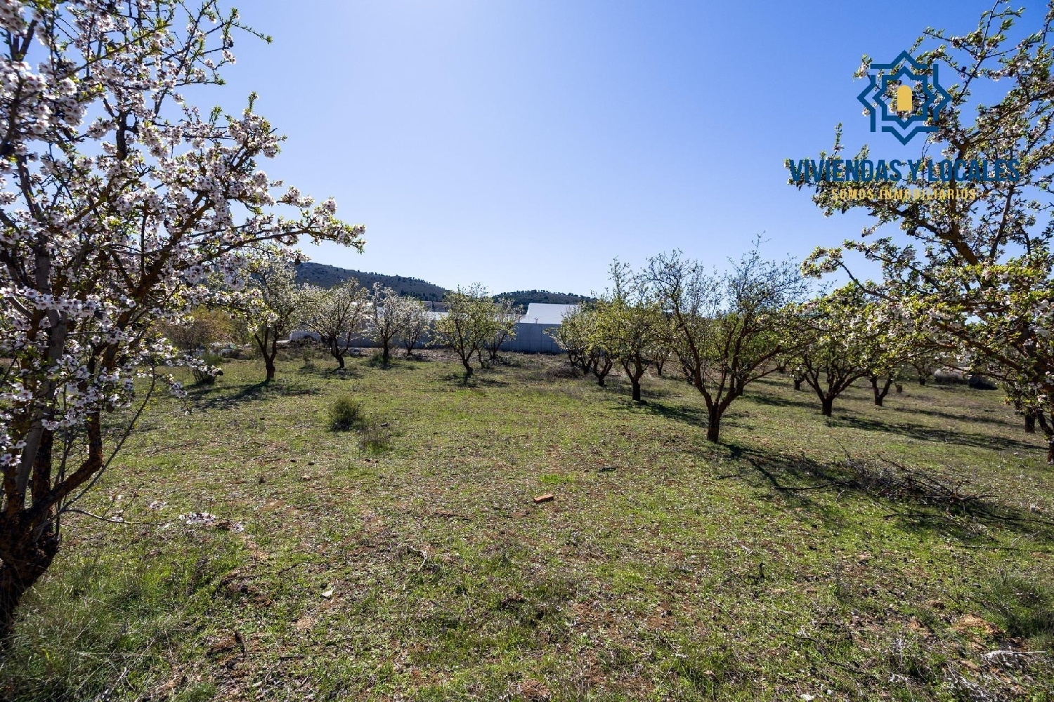  kaufen Grundstück Dílar Vega De Granada 6