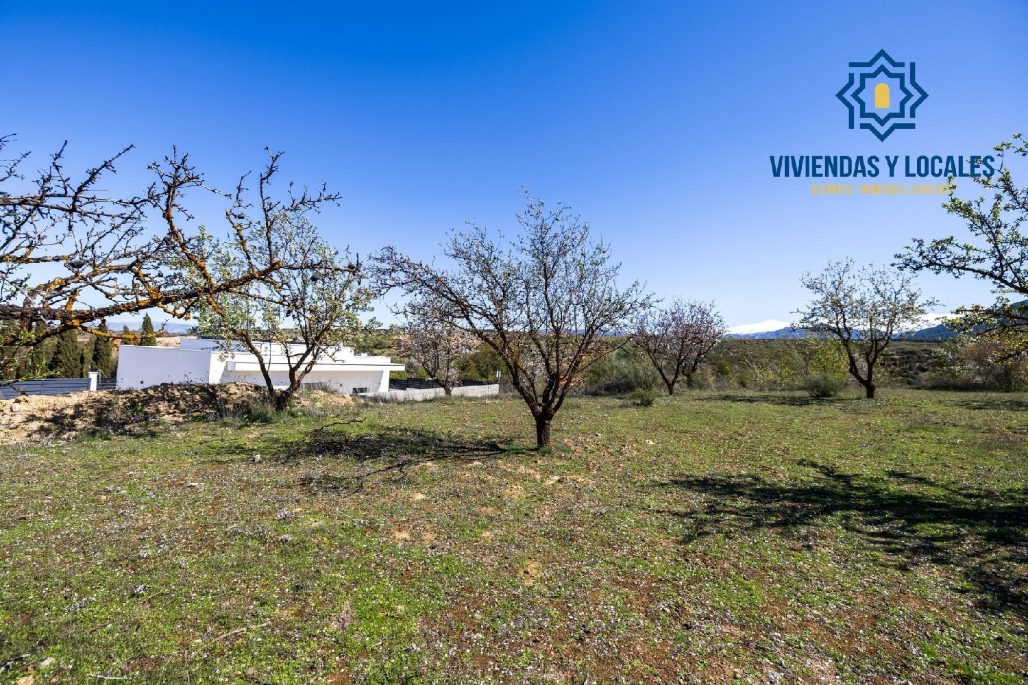  kaufen Grundstück Dílar Vega De Granada 3