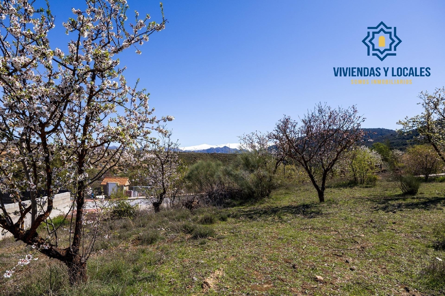  kaufen Grundstück Dílar Vega De Granada 7