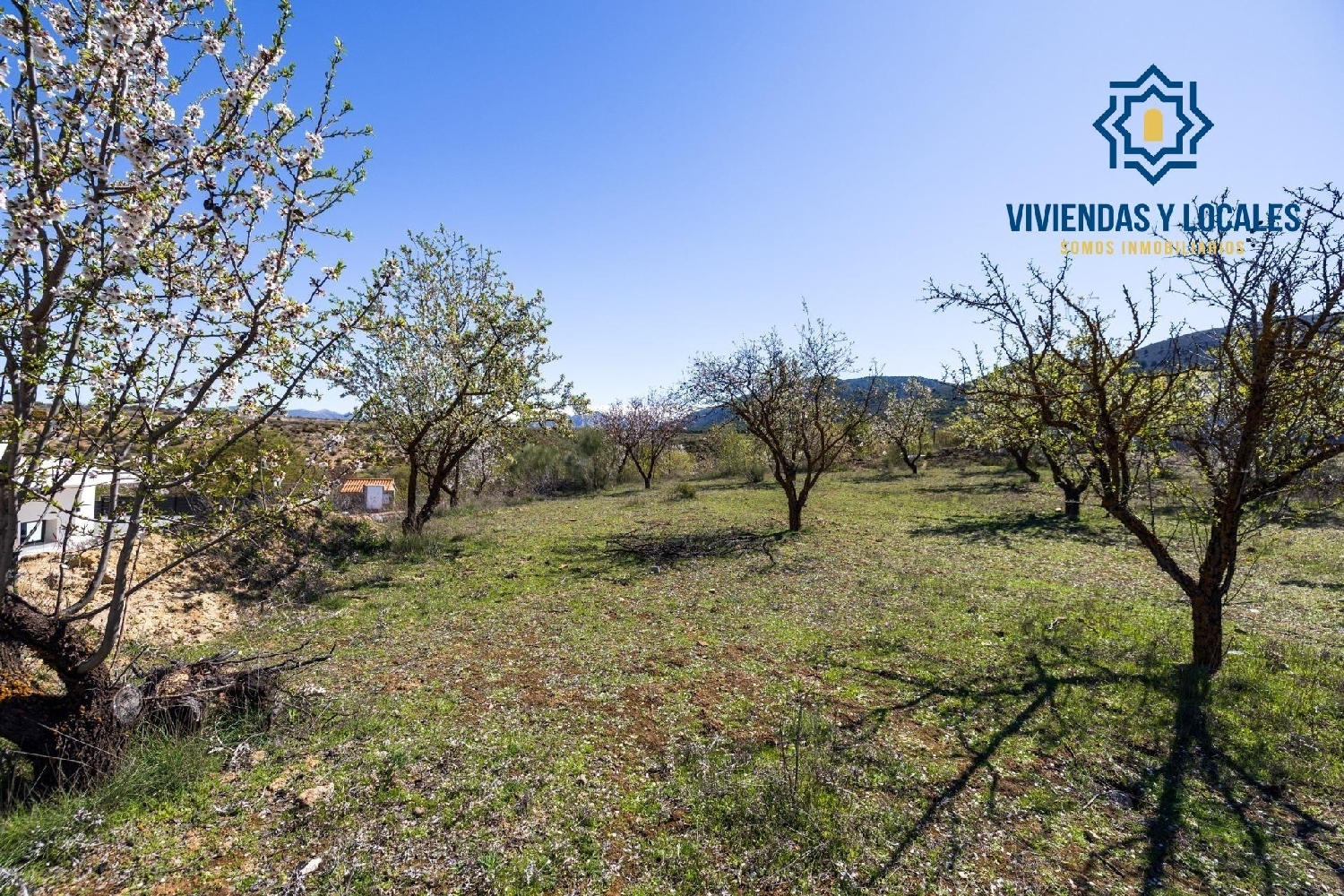  kaufen Grundstück Dílar Vega De Granada 5