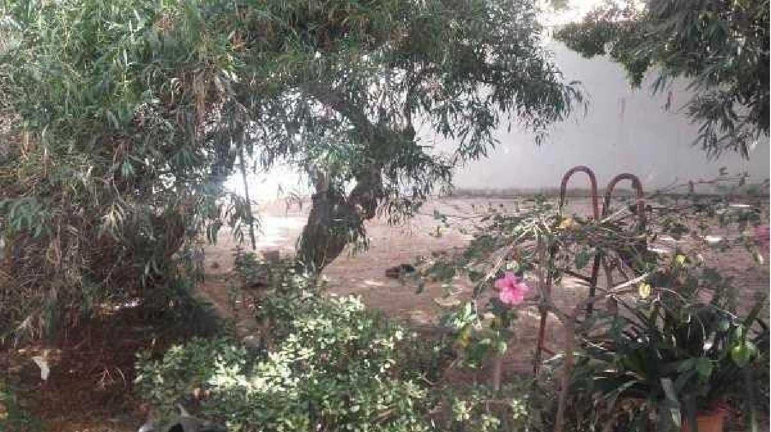  kaufen Grundstück El Ejido Poniente Almeriense 8